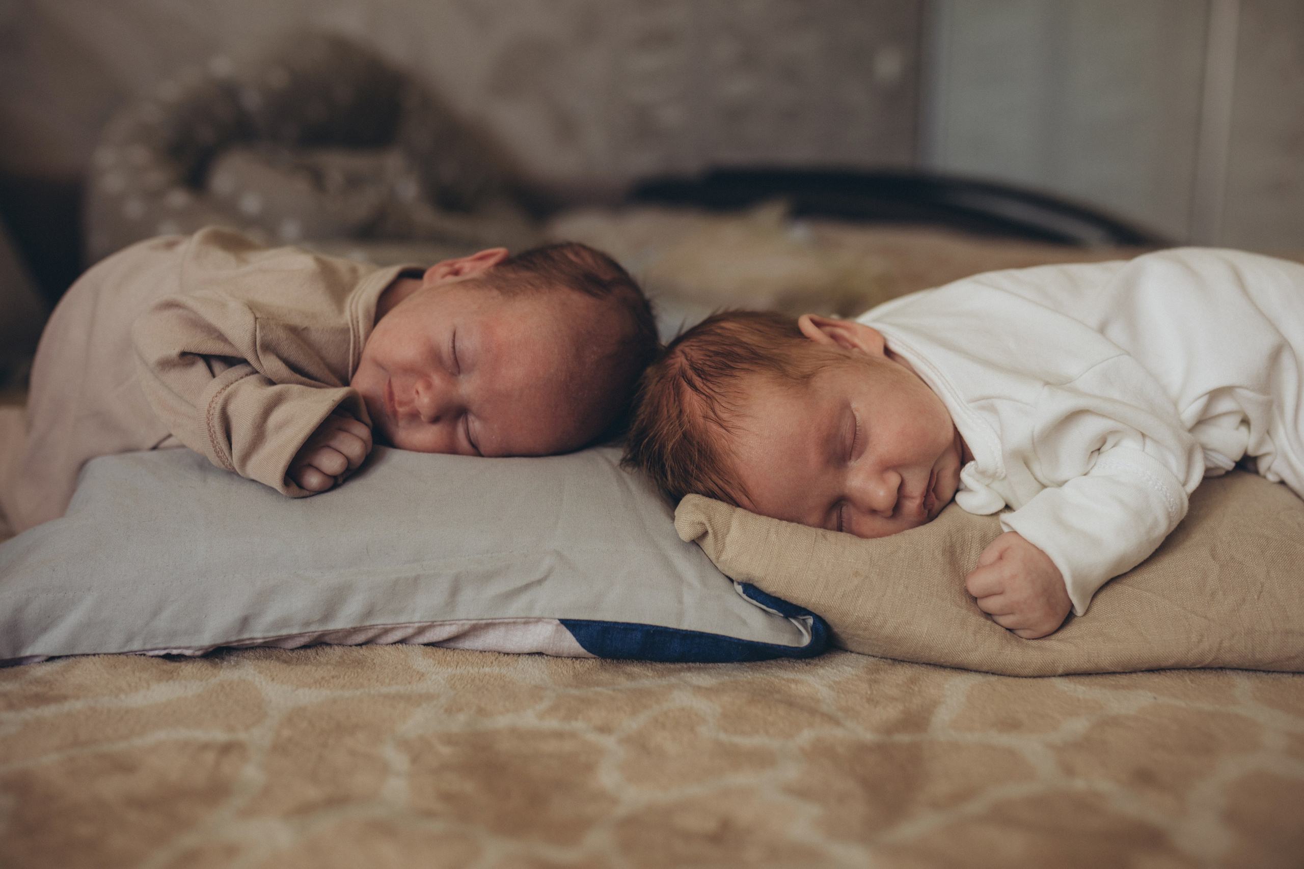 Домашний ньюборн. Главная