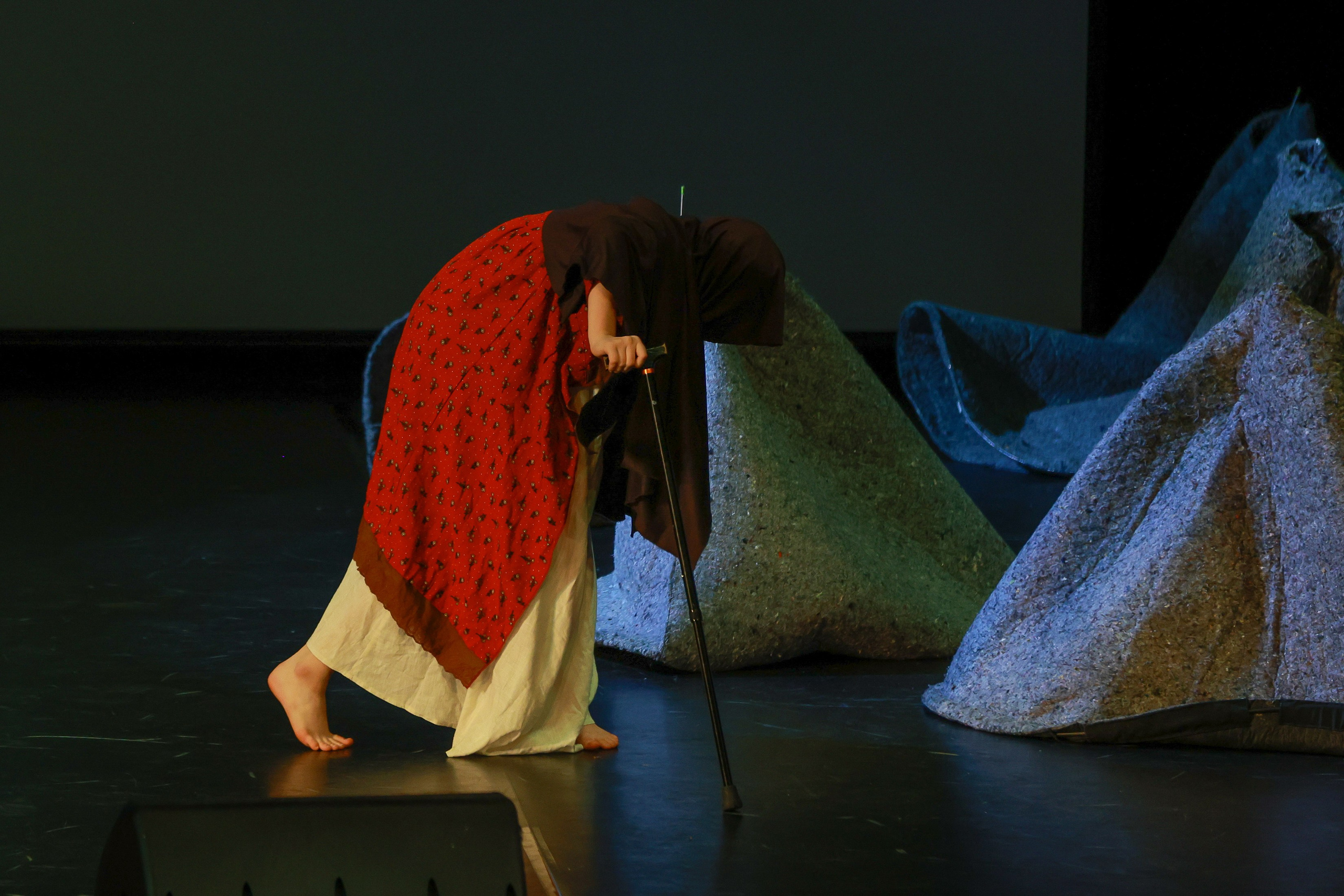 Небесные ласточки на Танц ЭКСПО 2026. Фотограф Юлия Мальцева