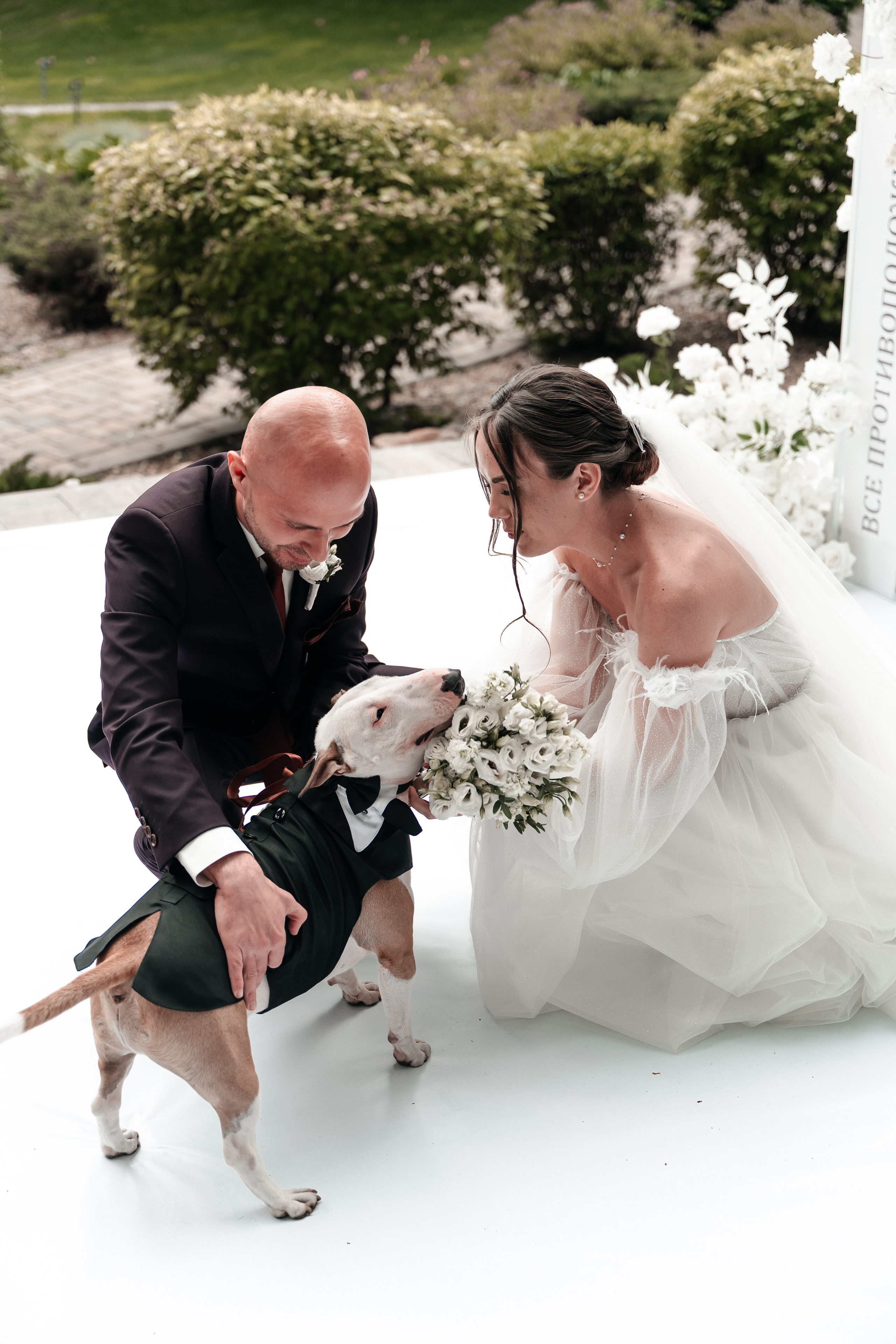 Андрей и Алина. Фотограф Екатерина Бочарникова