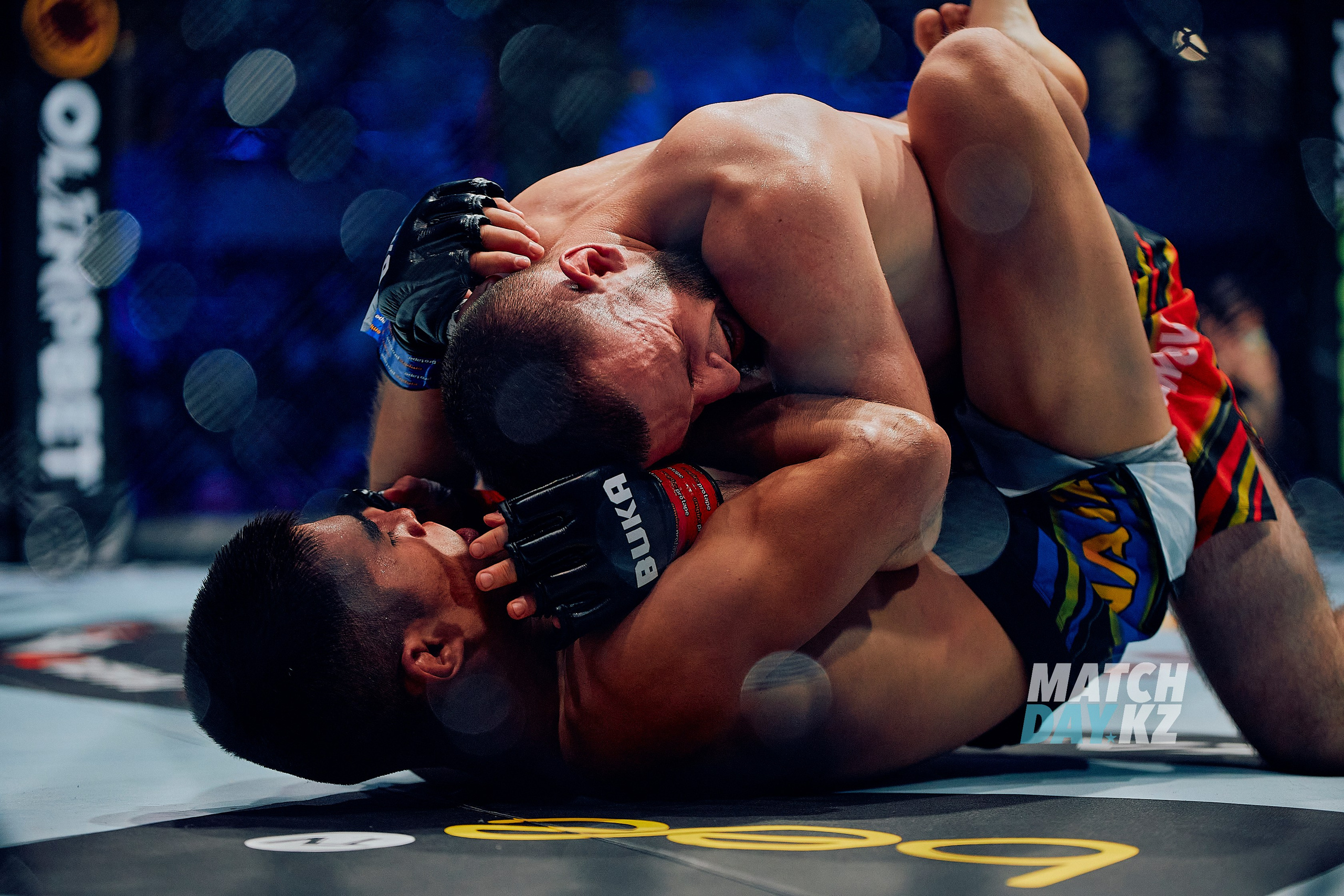 Naiza MMA (Astana) 6 December 2023. Professional photo & Event agency (Kazakhstan, Astana)