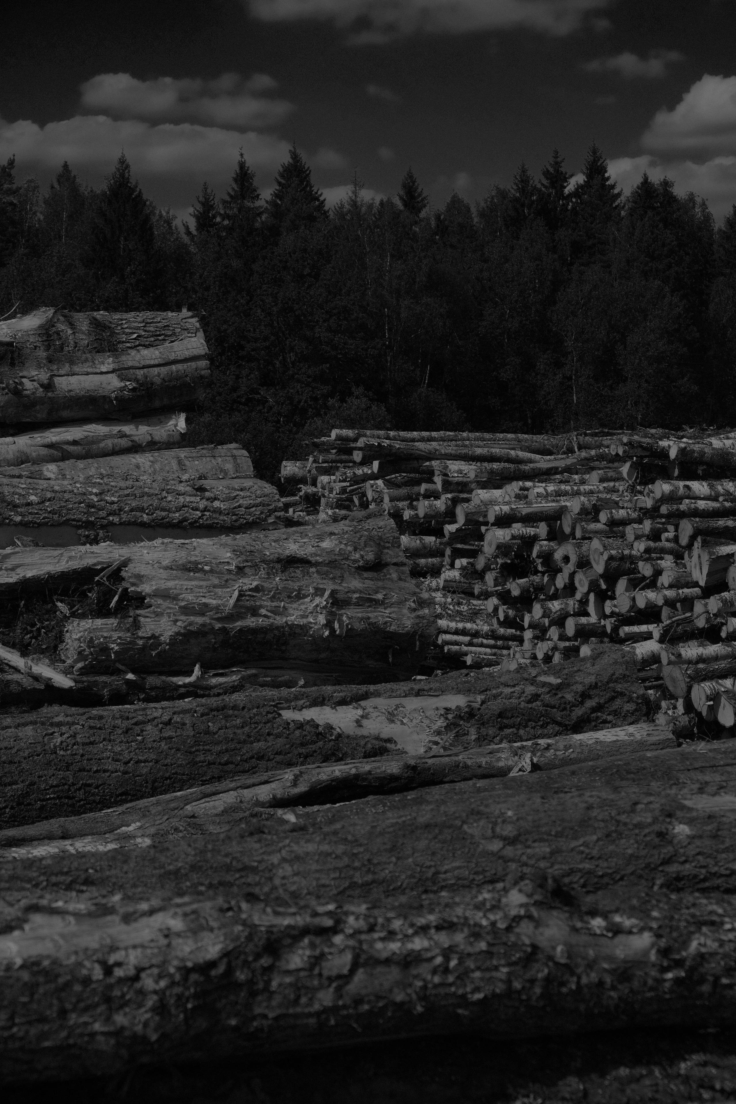 Nikola-Lenivec. Фотограф Настя Лев