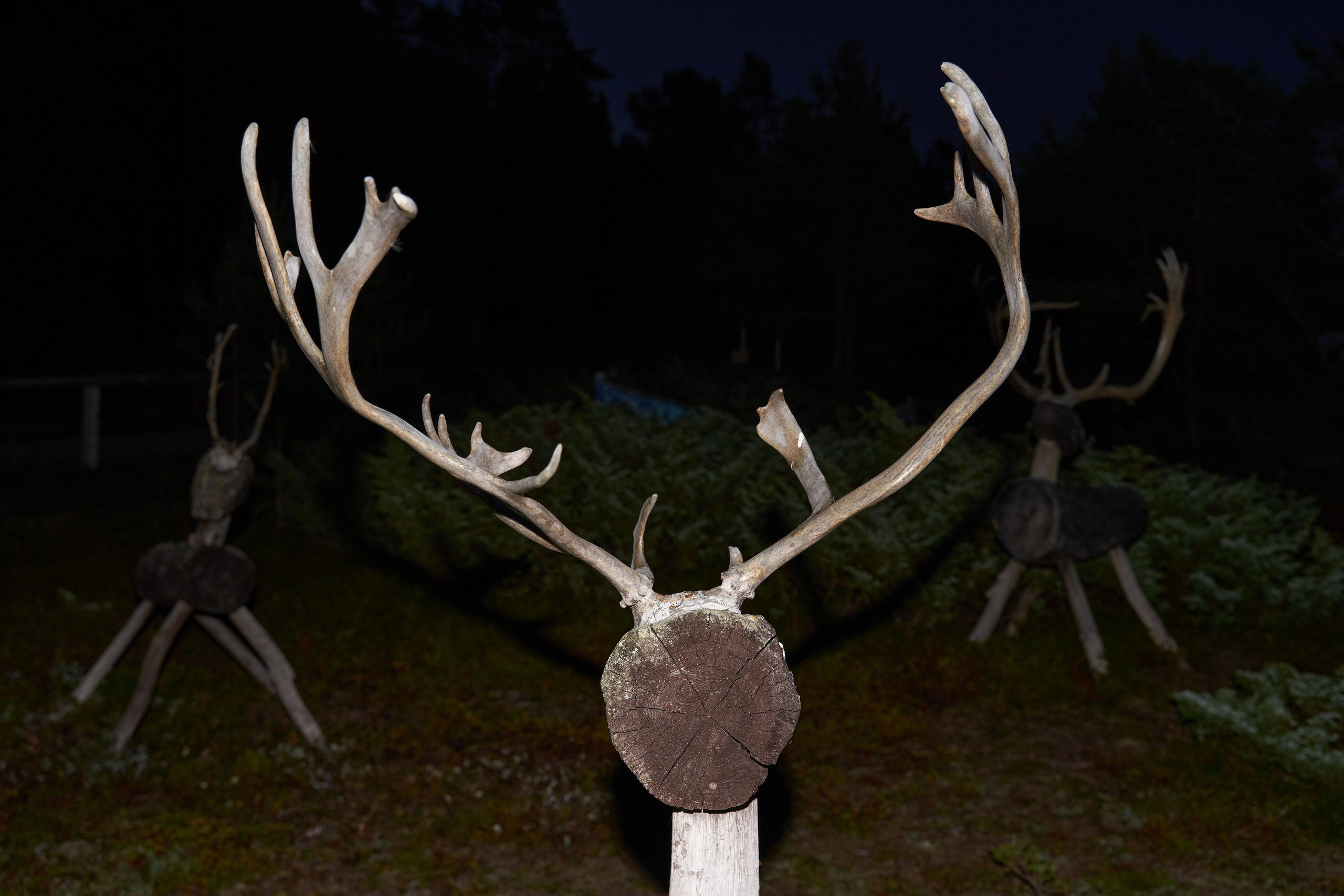 Портреты. Главная