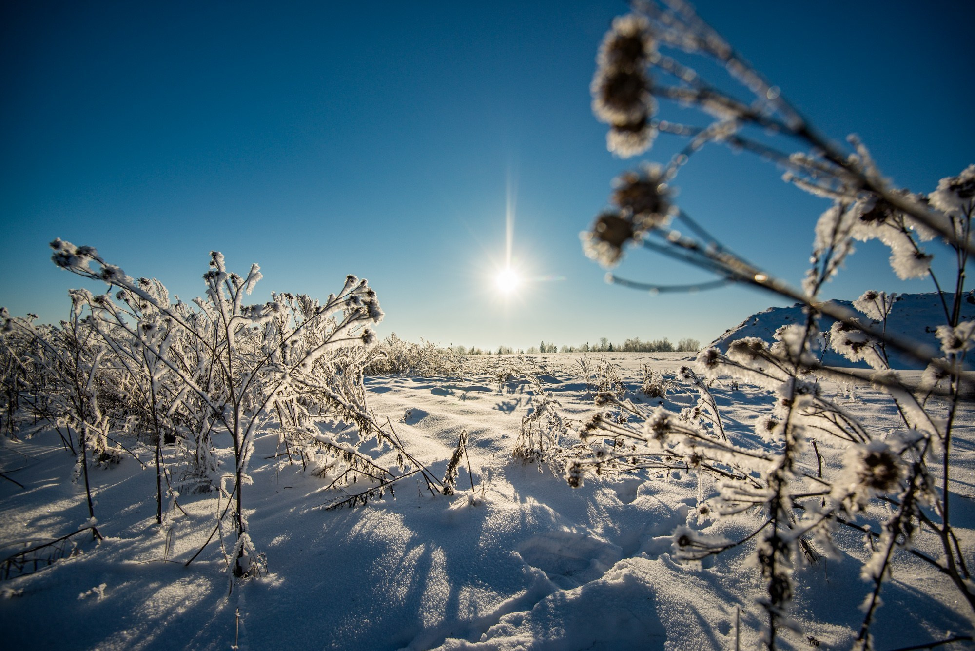 ФОТОЖУРНАЛИСТИКА. Репортажный фотограф в Минске. Алексей Матюшков
