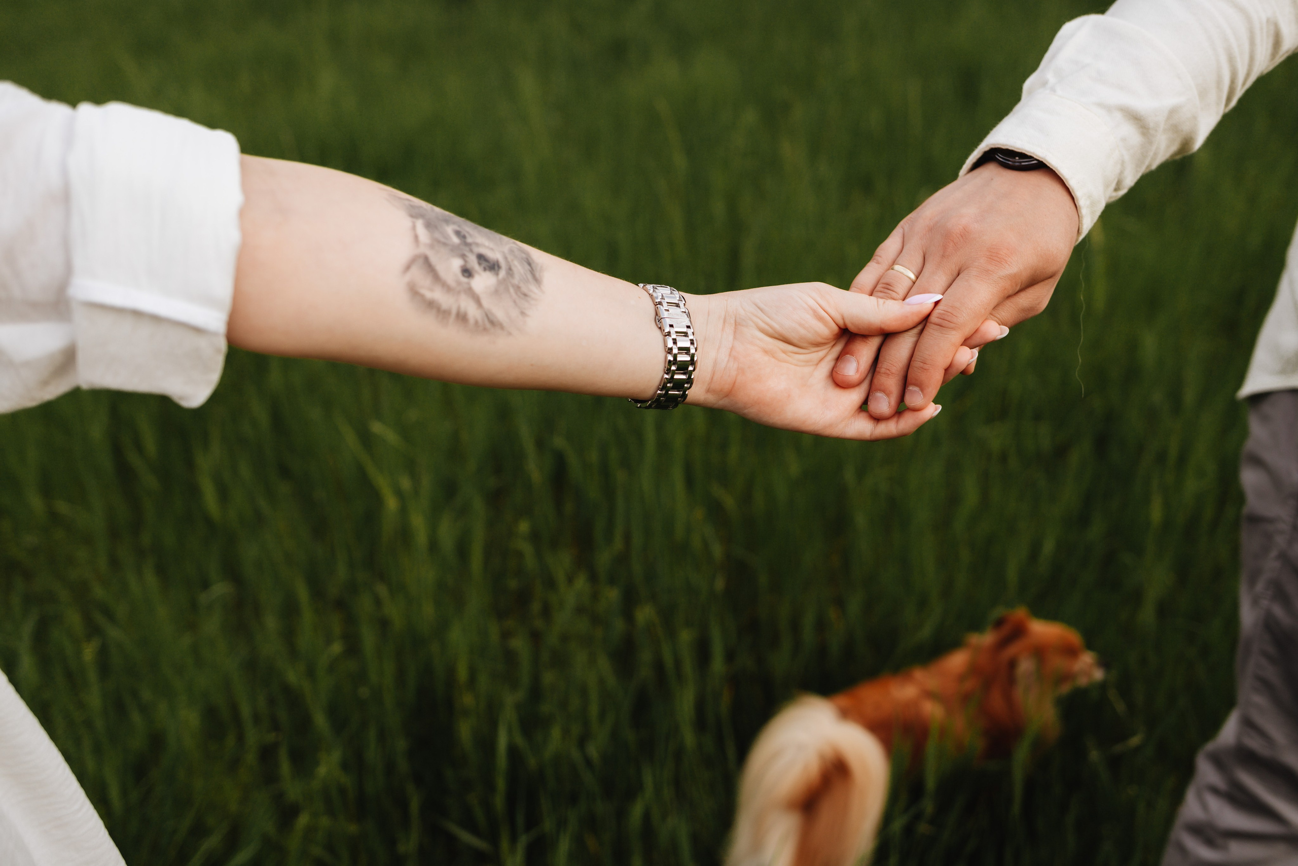 Вова и Марина, в ожидании. Семейный фотограф Юлия Клишина