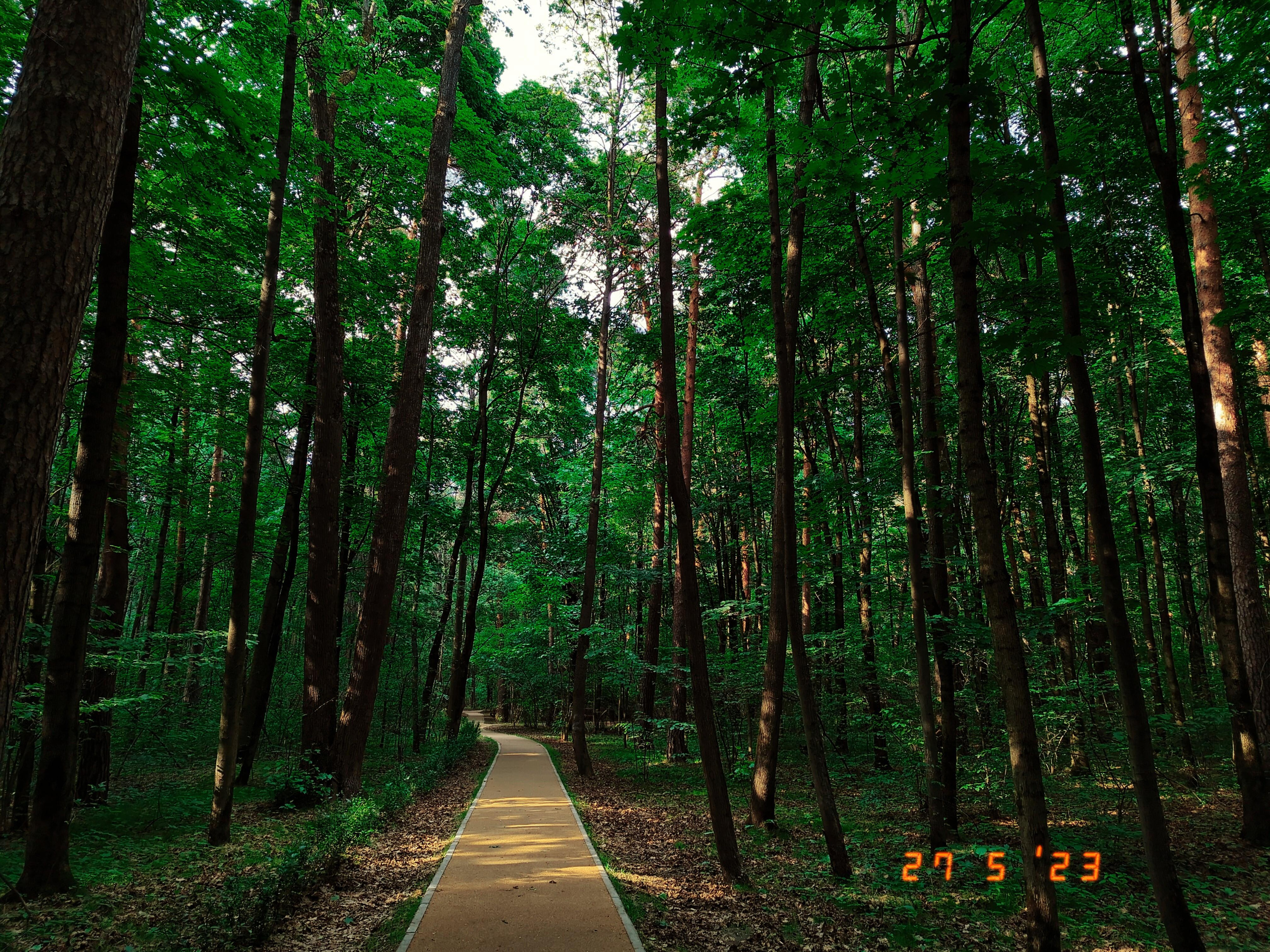 Камера телефон iphone camera. •fpsmax• фотограф-ретушер