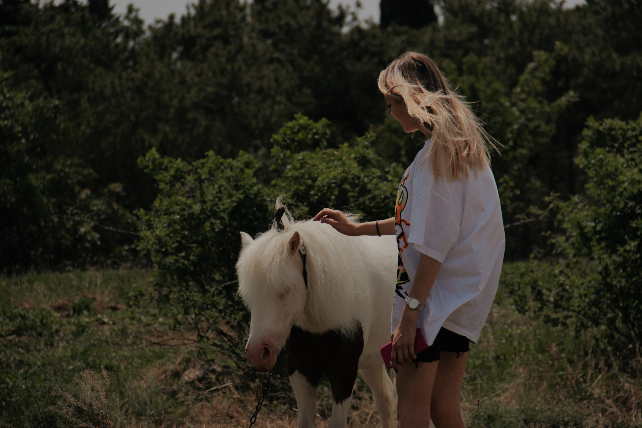 Крым. Фотограф и видеограф в Санкт-Петербурге