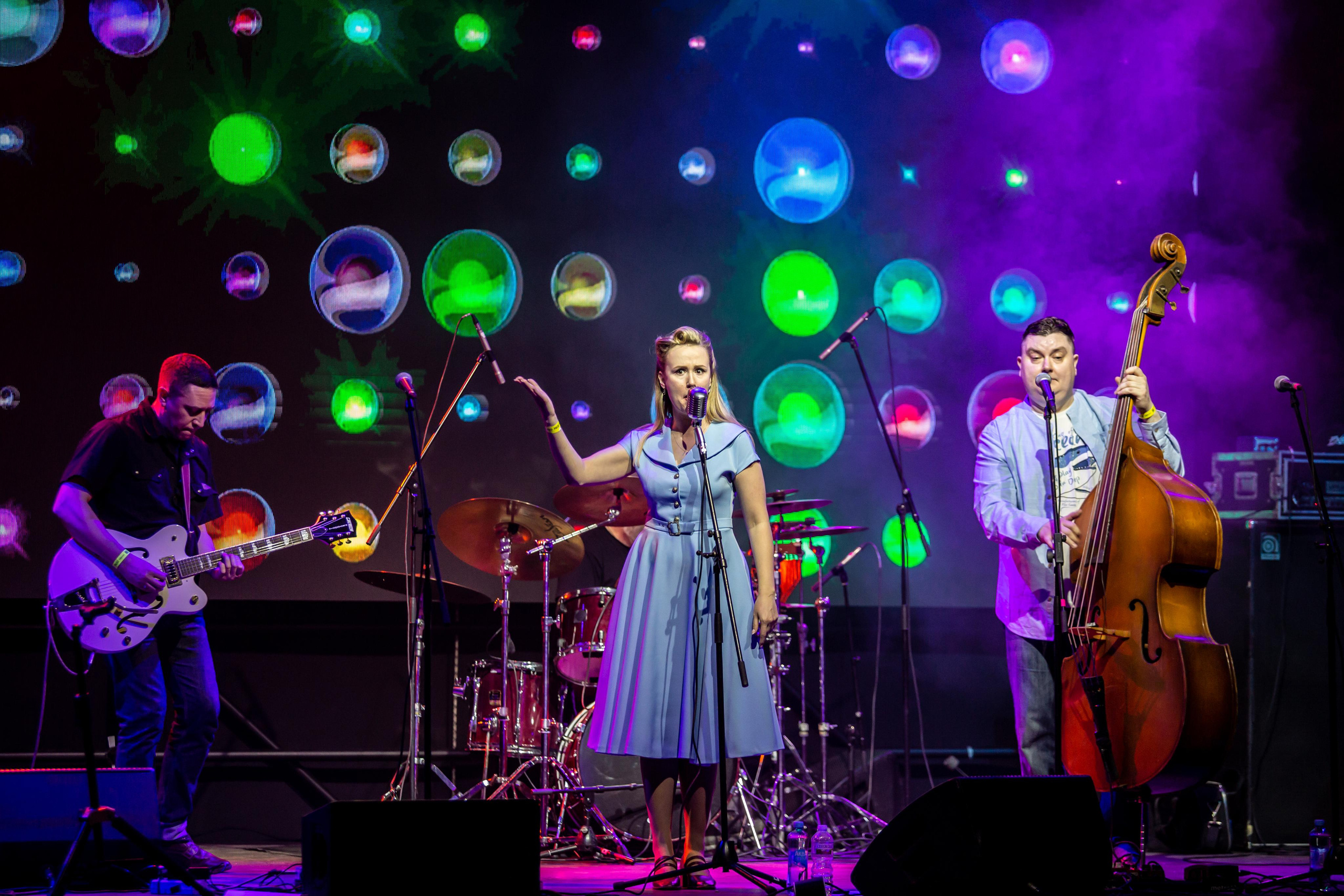 OLD SCHOOL CATS. Фотограф Сонкина Татьяна