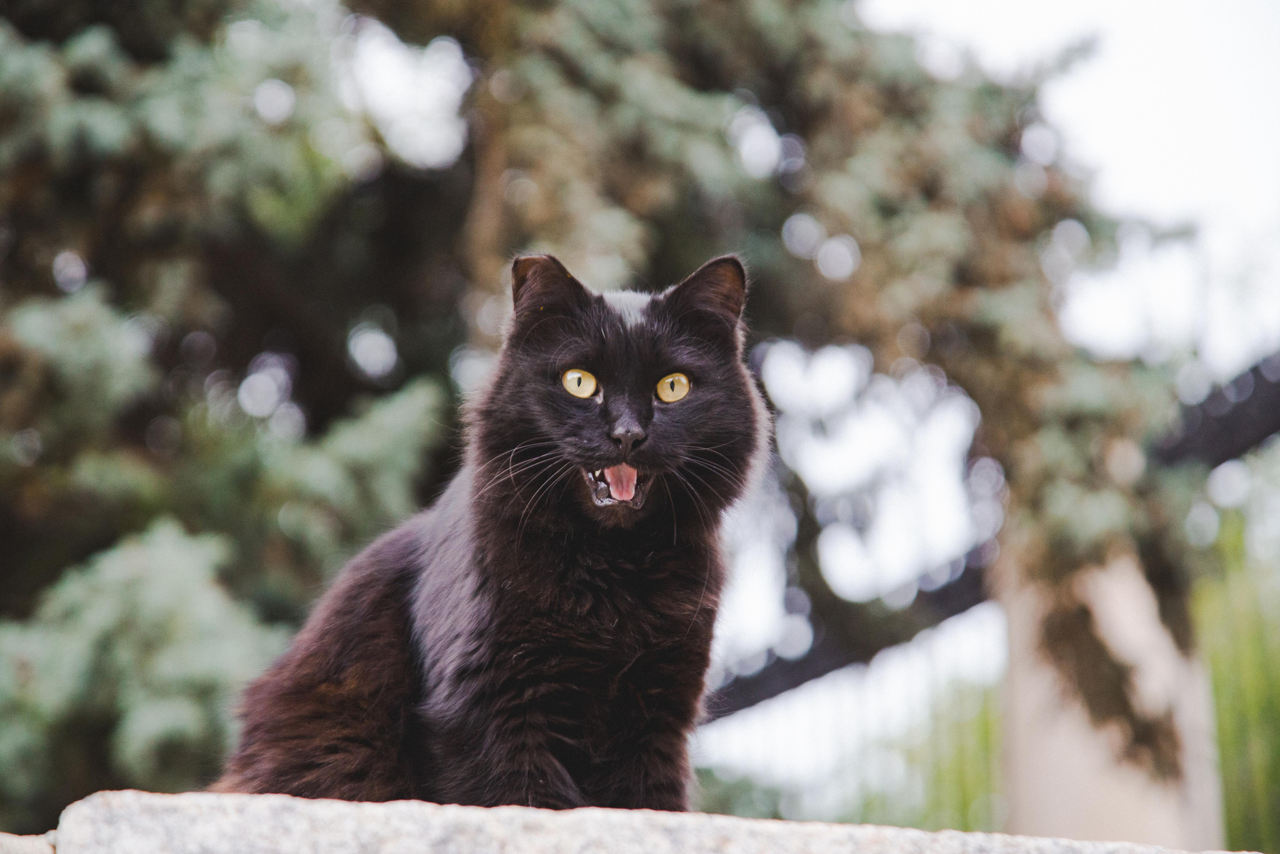 Волгоград. Photographer Sonkina Tatiana (Tanya Ash)