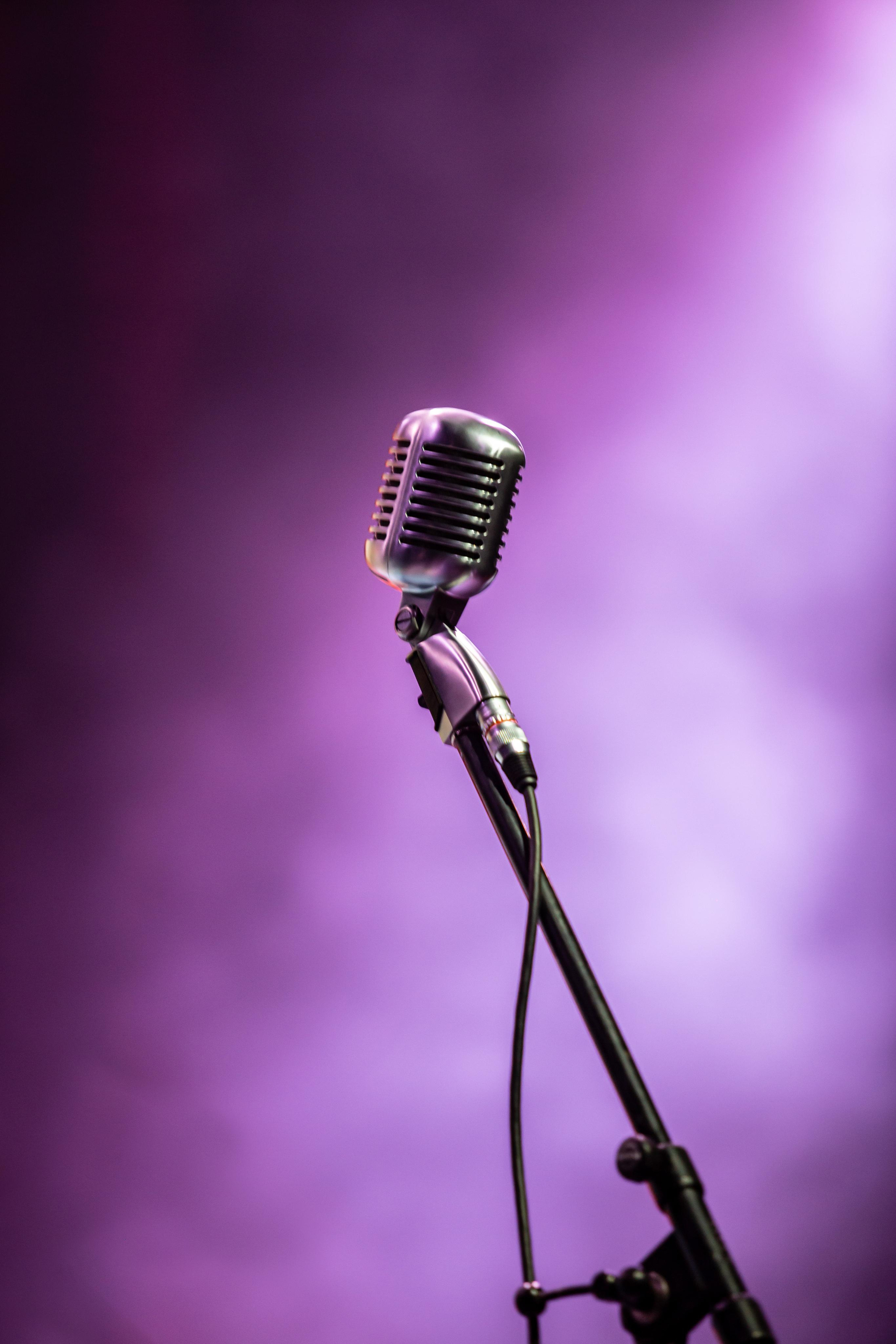 OLD SCHOOL CATS. Фотограф Сонкина Татьяна