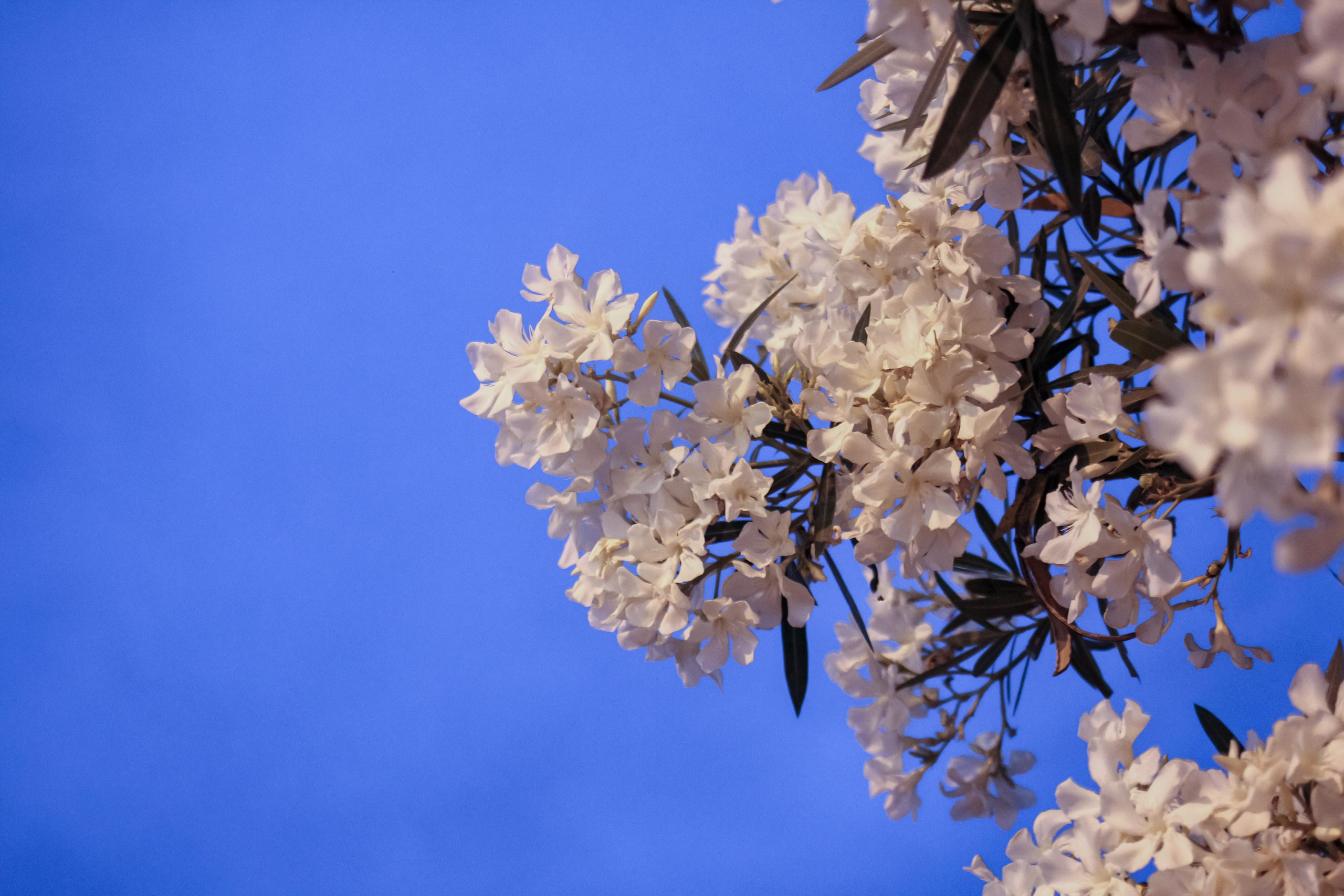 Мармарис. Photographer Sonkina Tatiana (Tanya Ash)