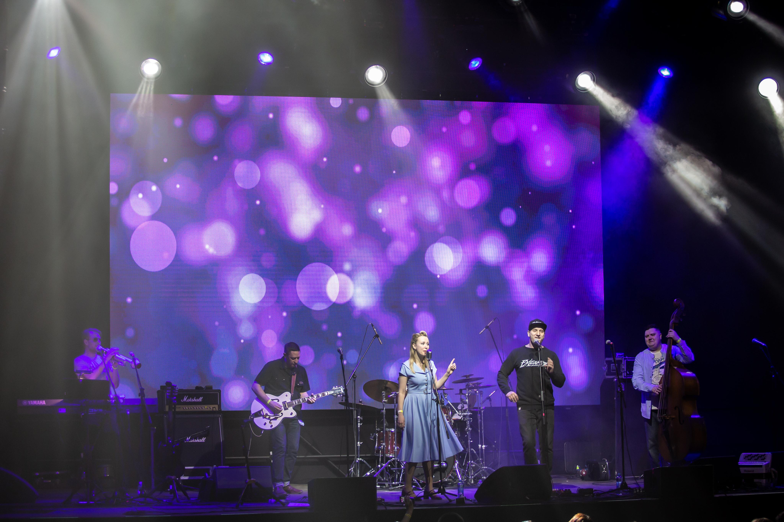 OLD SCHOOL CATS. Фотограф Сонкина Татьяна