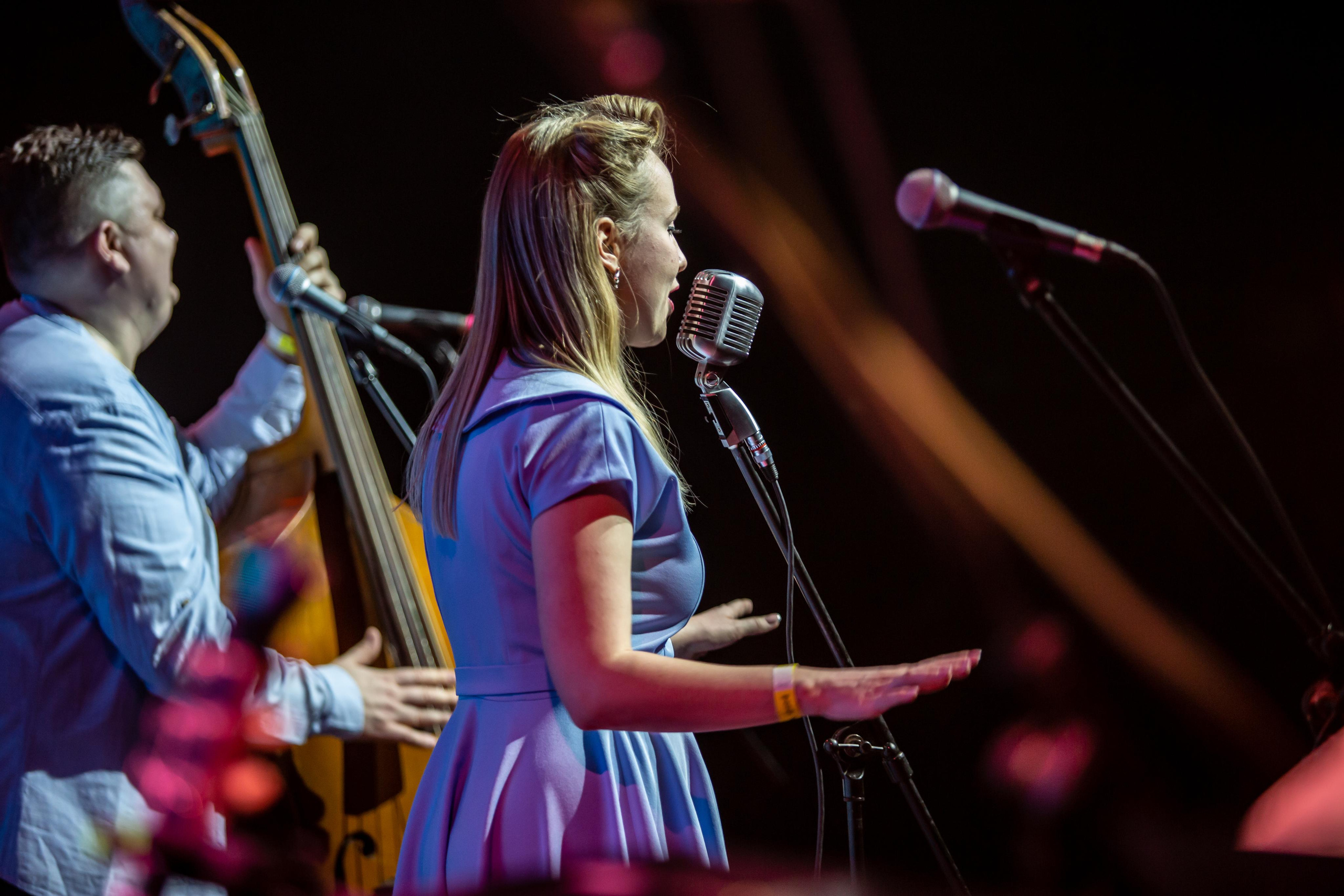 OLD SCHOOL CATS. Фотограф Сонкина Татьяна