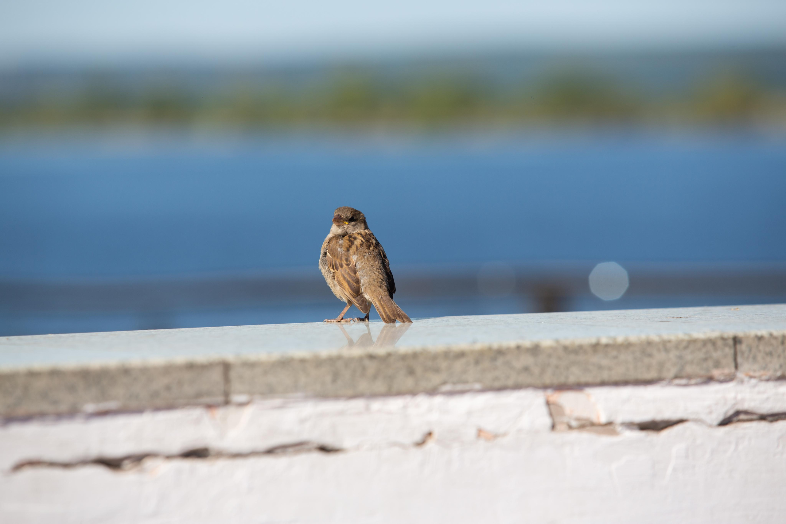 Казань. Photographer Sonkina Tatiana (Tanya Ash)