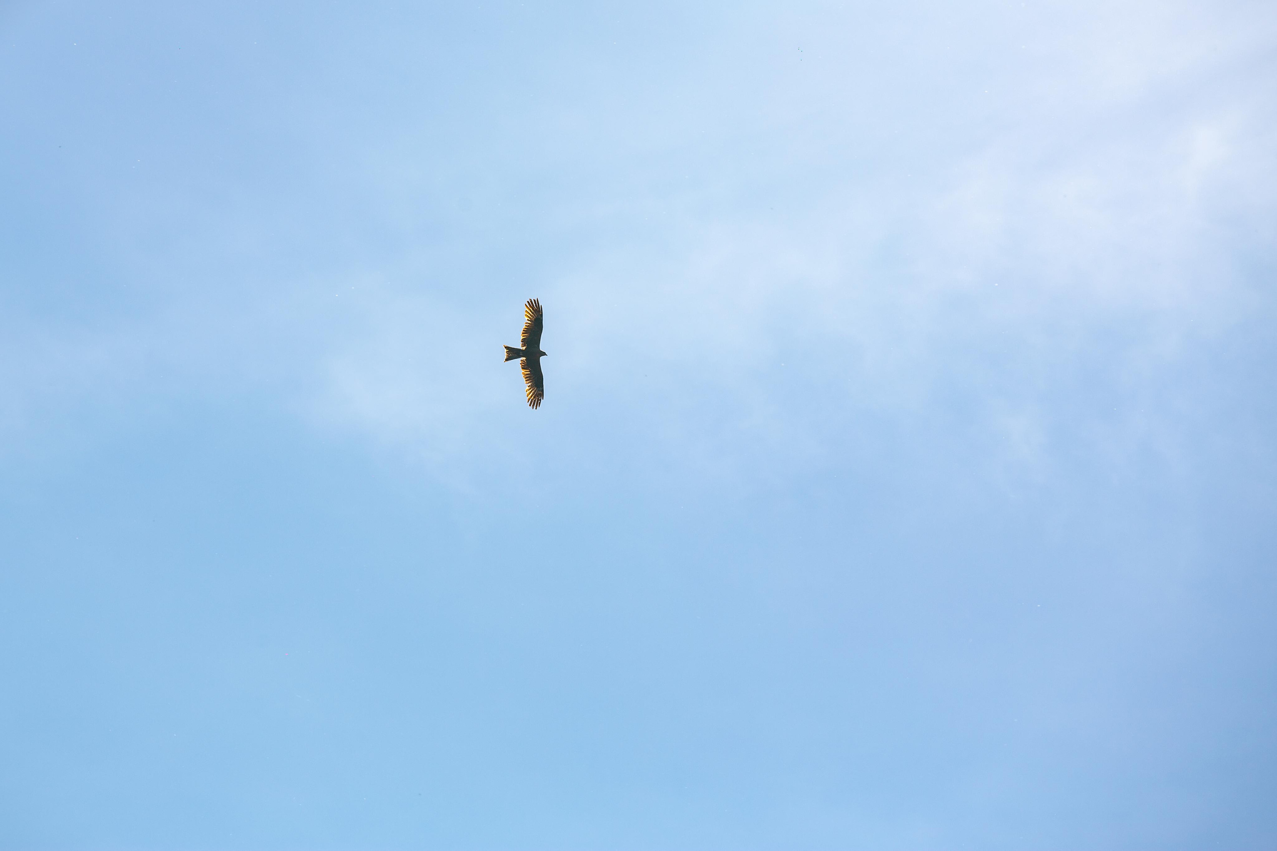 Казань. Photographer Sonkina Tatiana (Tanya Ash)