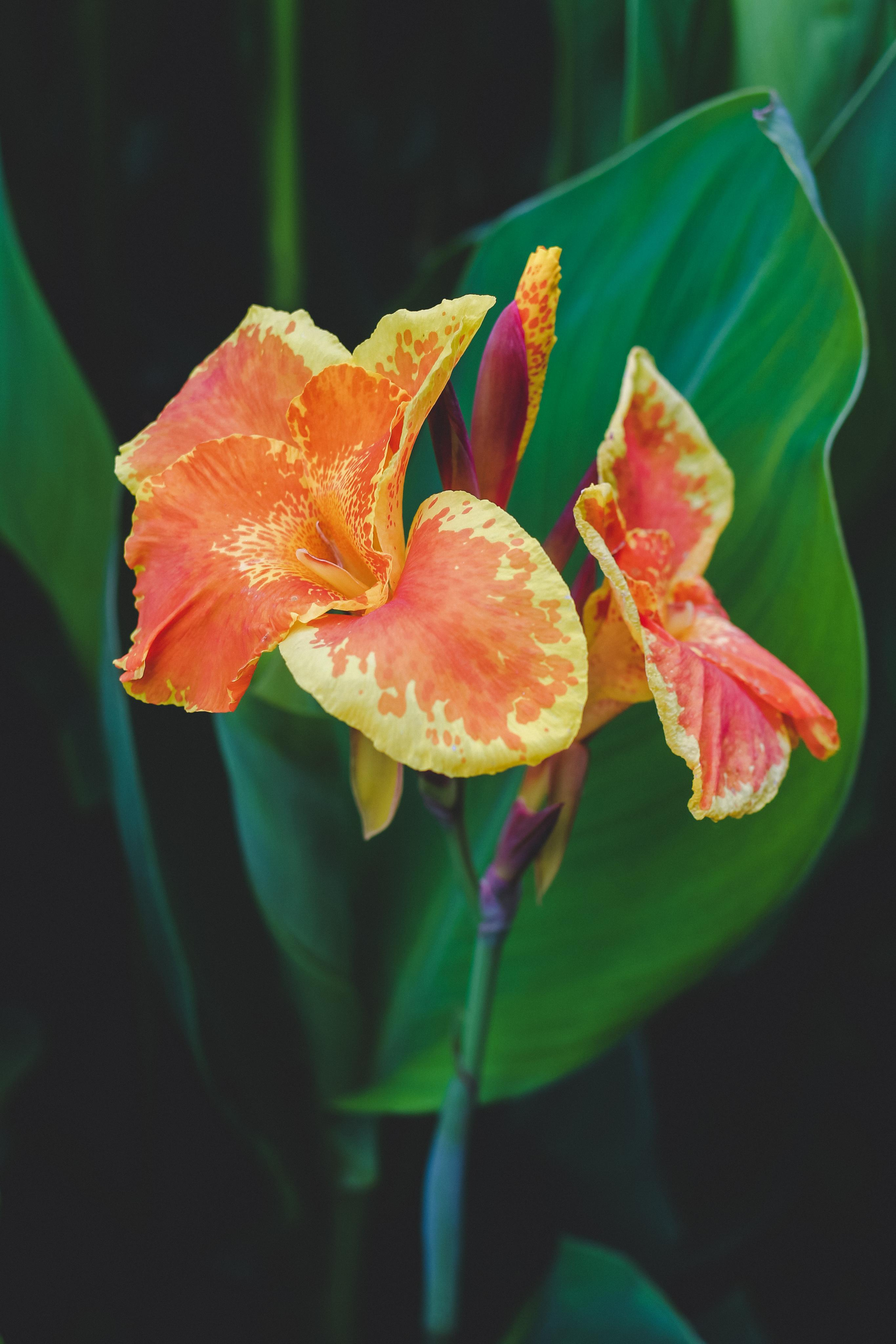 Мармарис. Photographer Sonkina Tatiana (Tanya Ash)