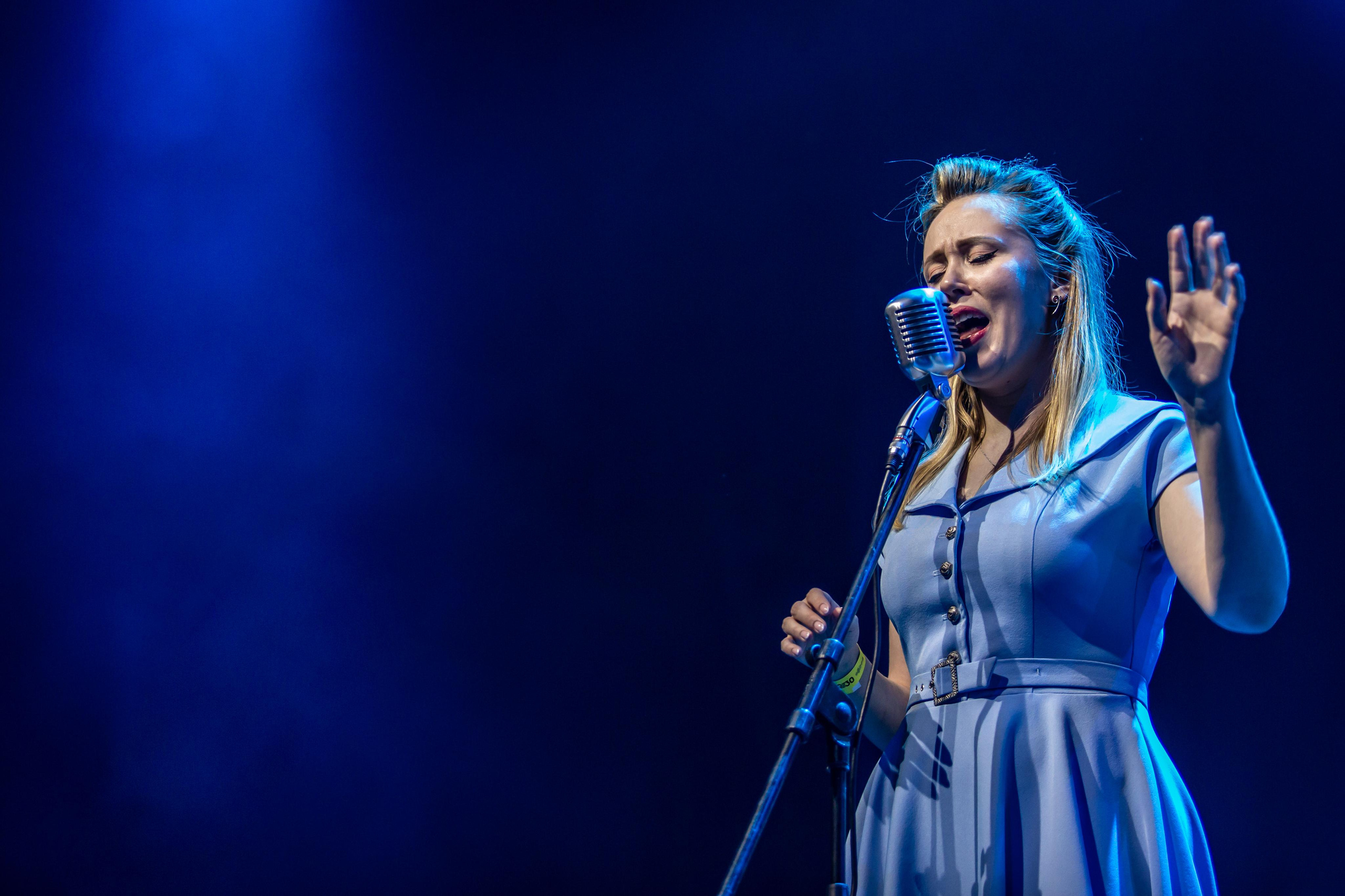 OLD SCHOOL CATS. Фотограф Сонкина Татьяна