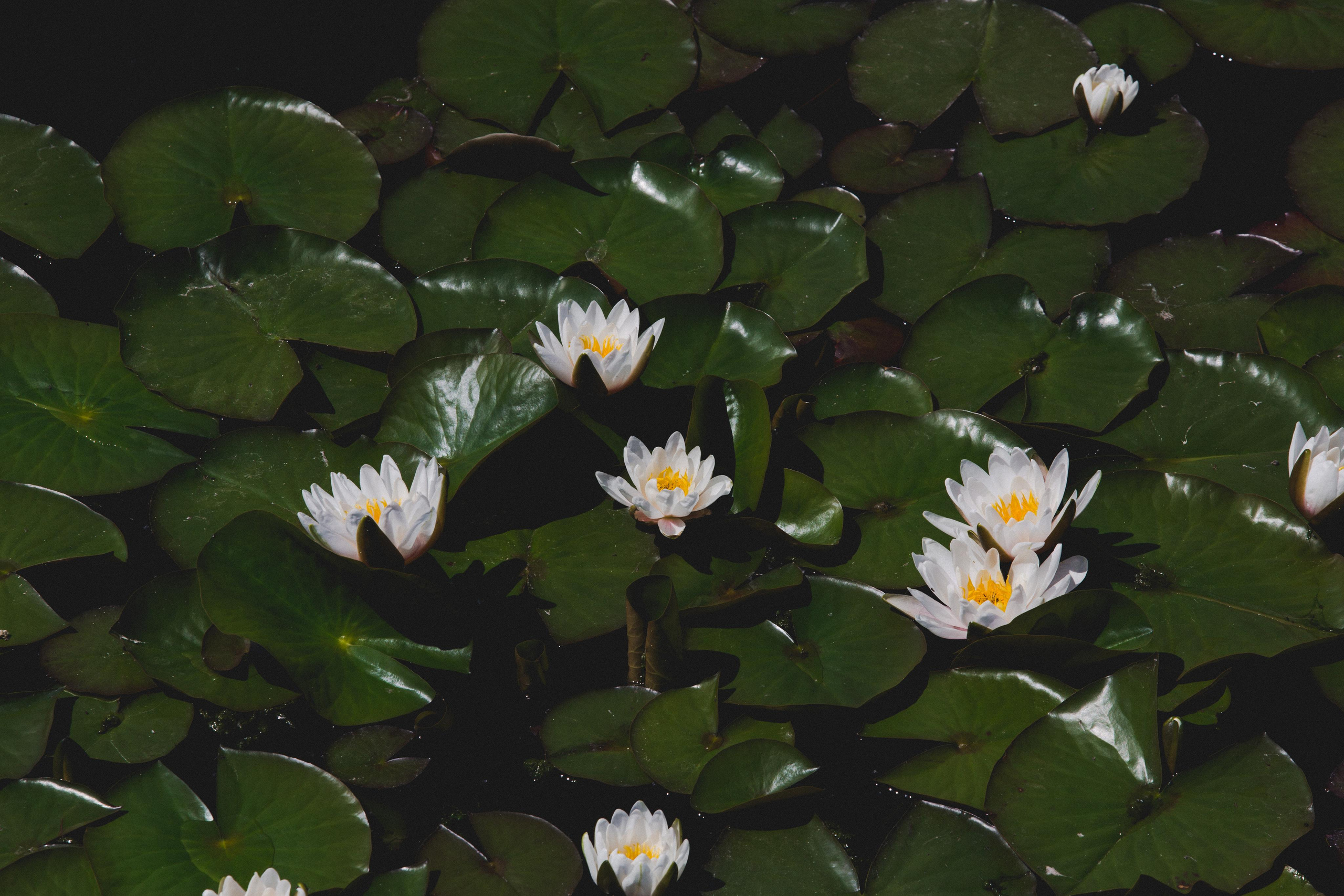 Казань. Photographer Sonkina Tatiana (Tanya Ash)