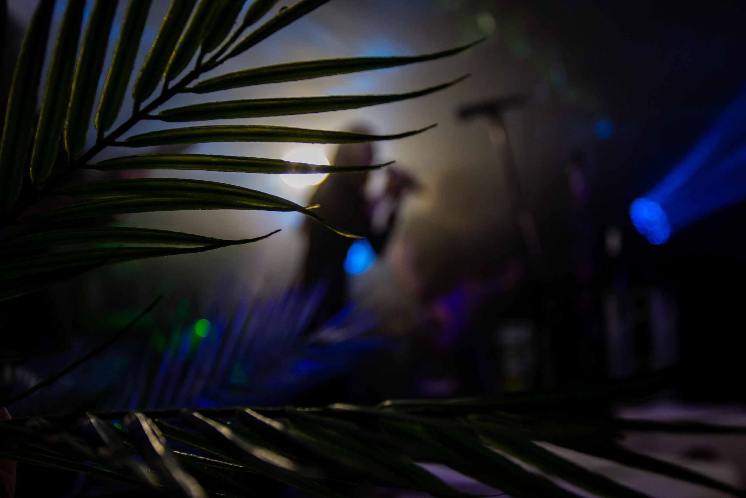 Dragonspell. Фотограф Сонкина Татьяна