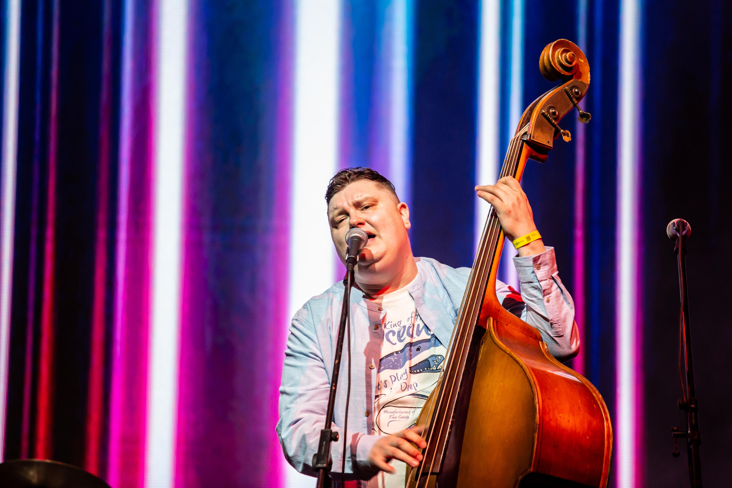 OLD SCHOOL CATS. Фотограф Сонкина Татьяна