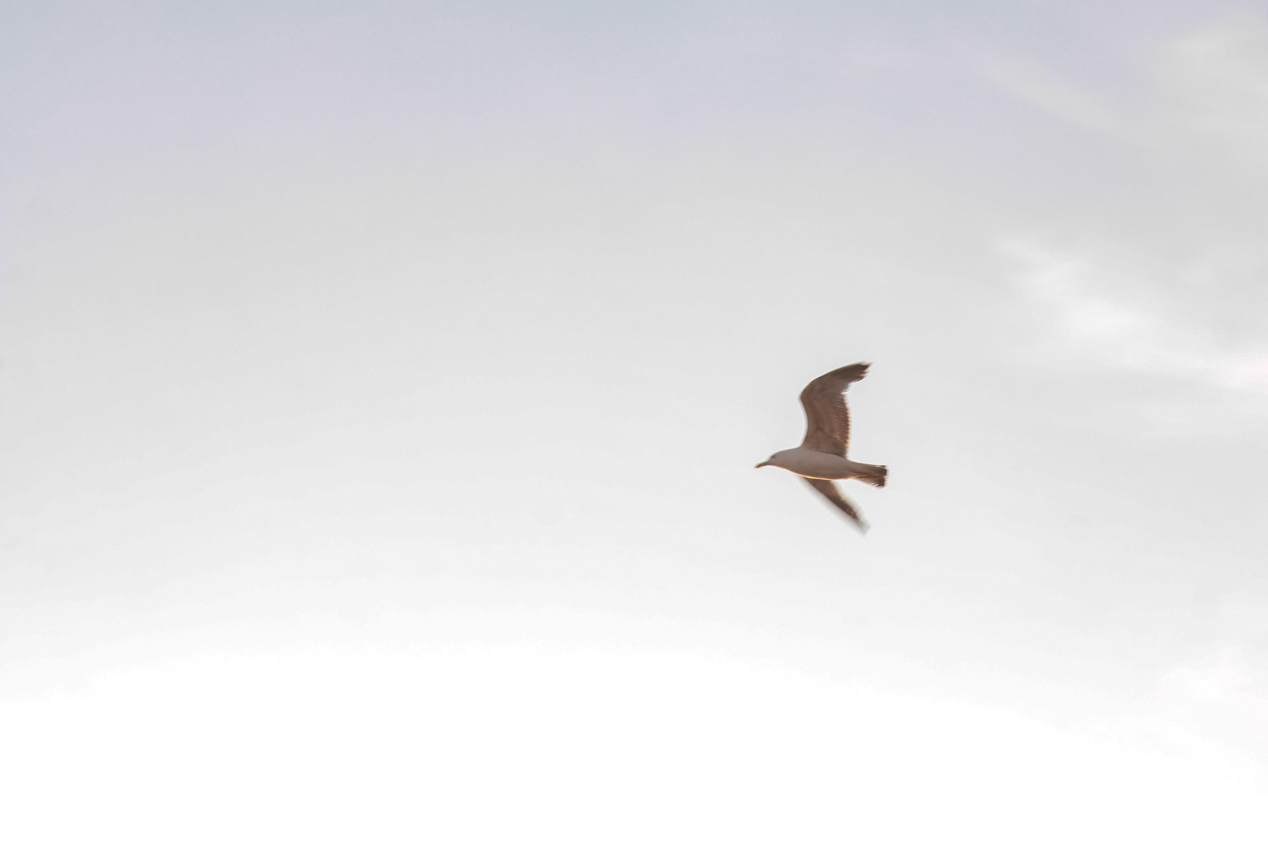 Мармарис. Photographer Sonkina Tatiana (Tanya Ash)