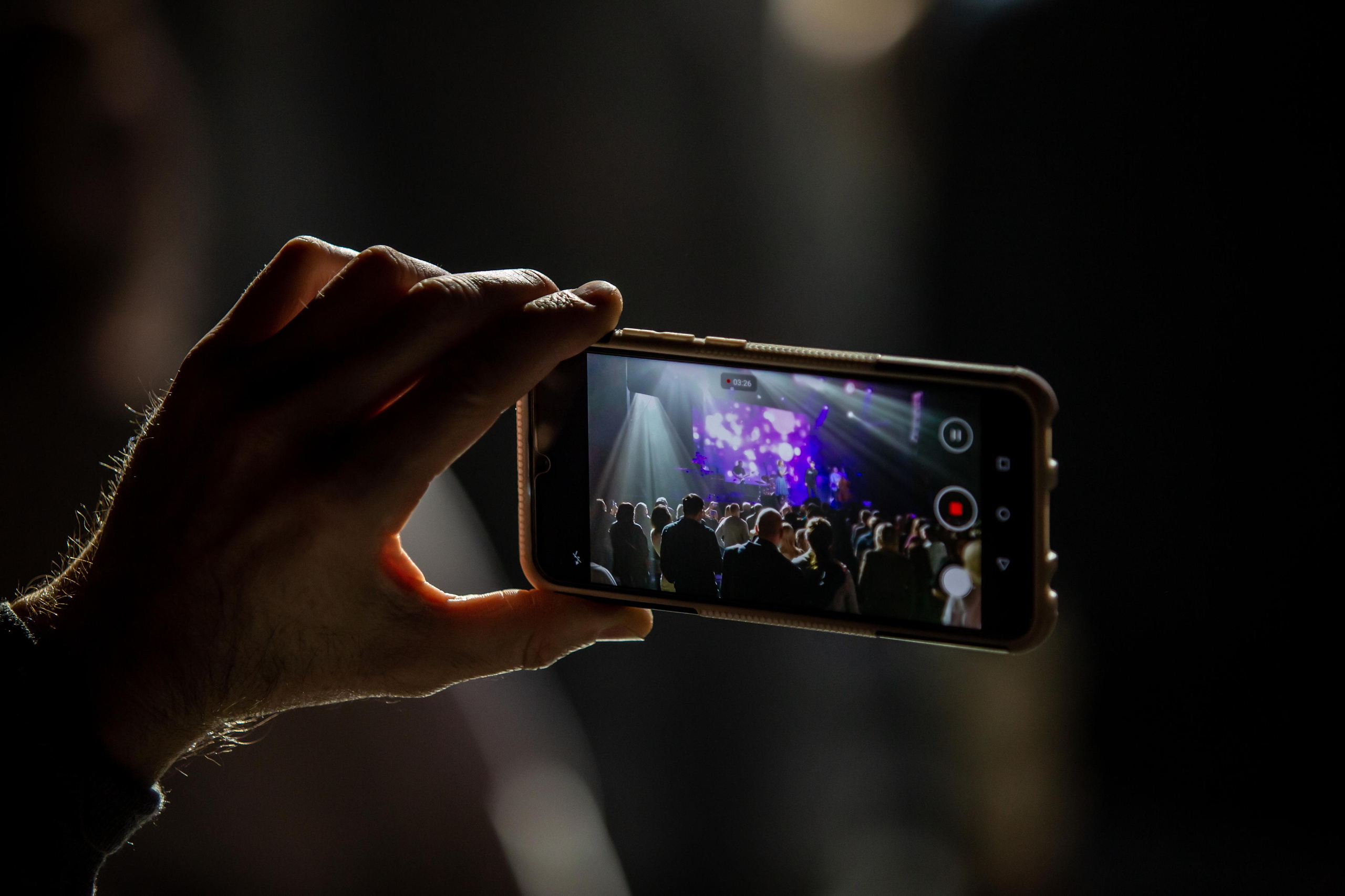 OLD SCHOOL CATS. Фотограф Сонкина Татьяна