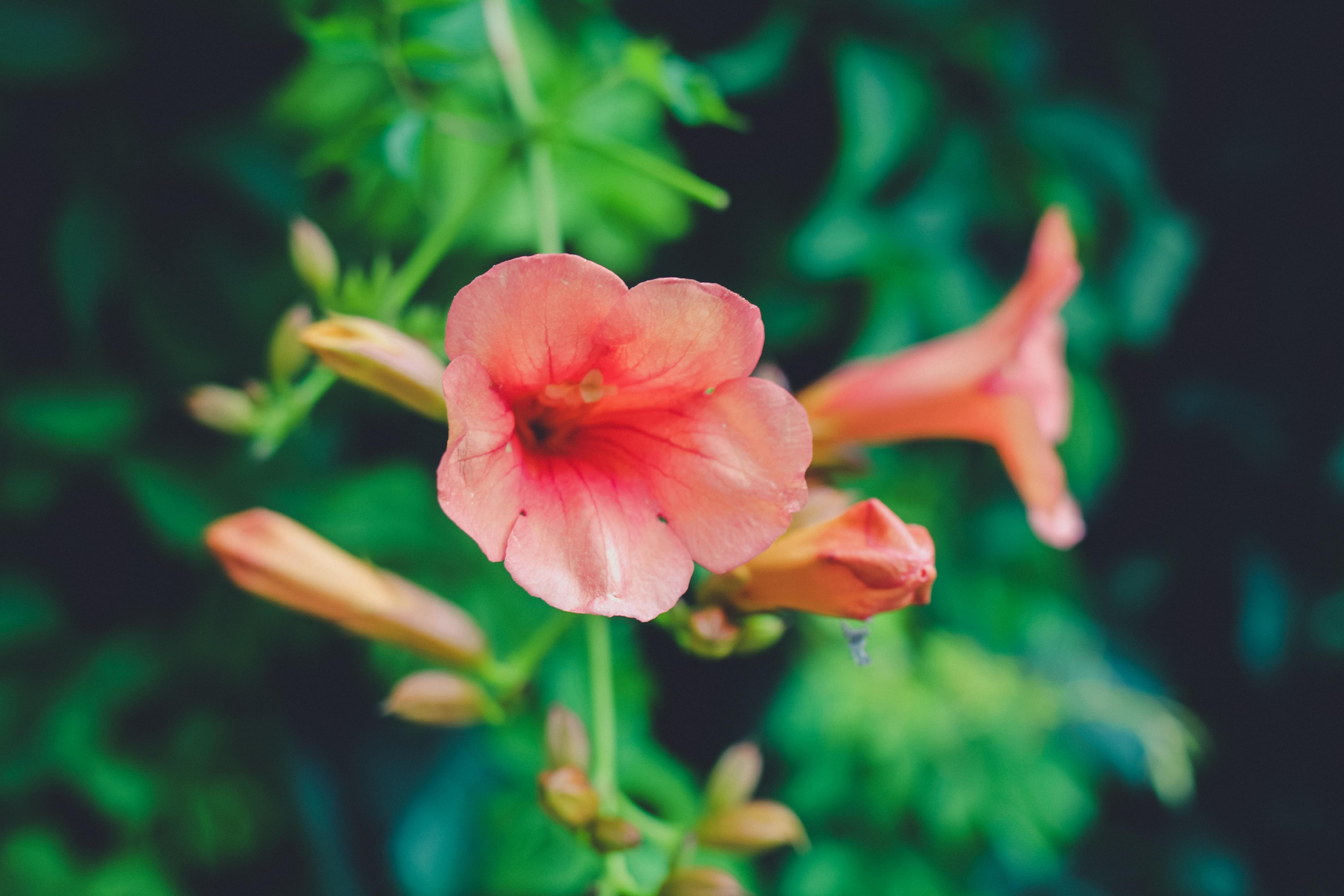 Мармарис. Photographer Sonkina Tatiana (Tanya Ash)