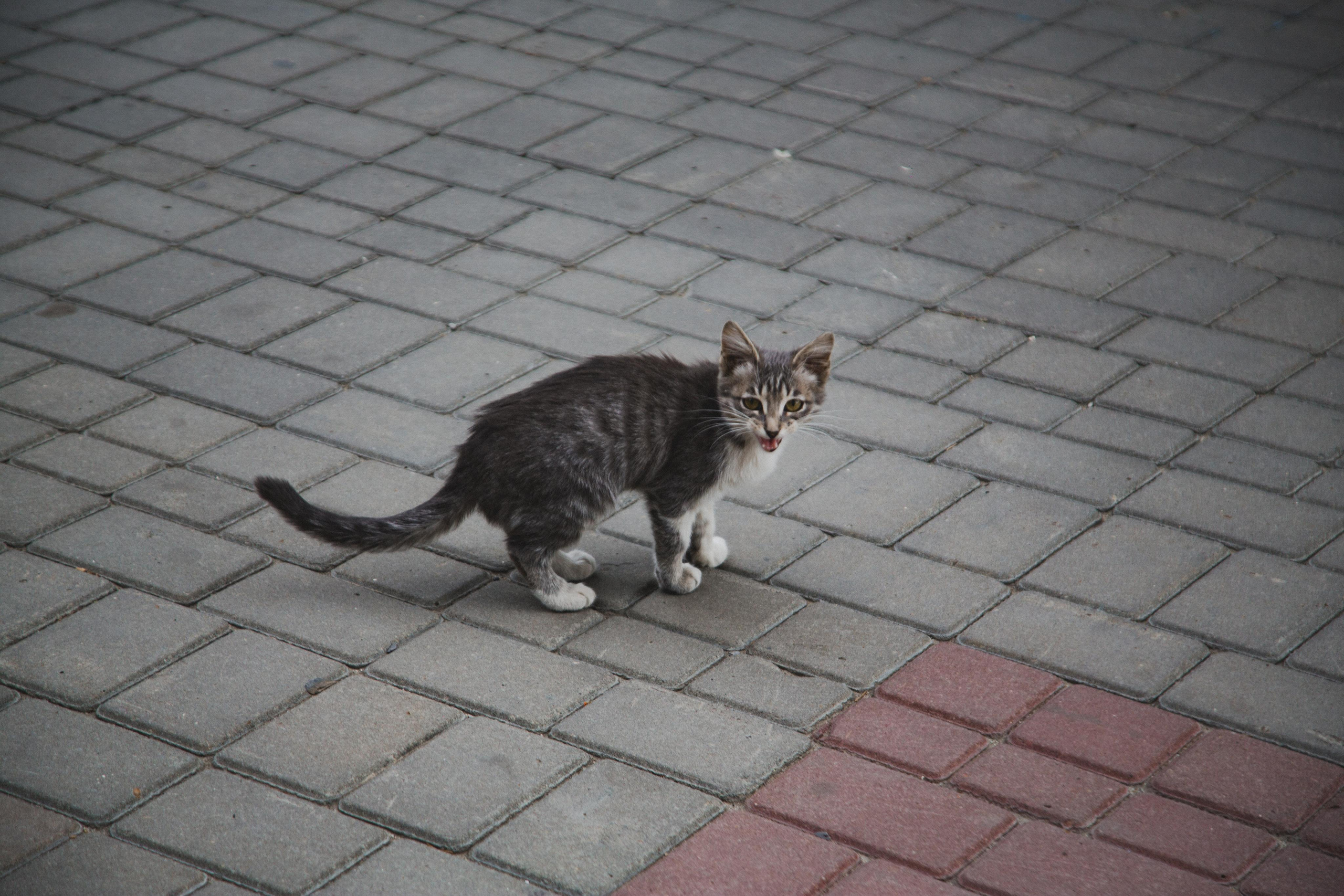 Волгоград. Photographer Sonkina Tatiana (Tanya Ash)