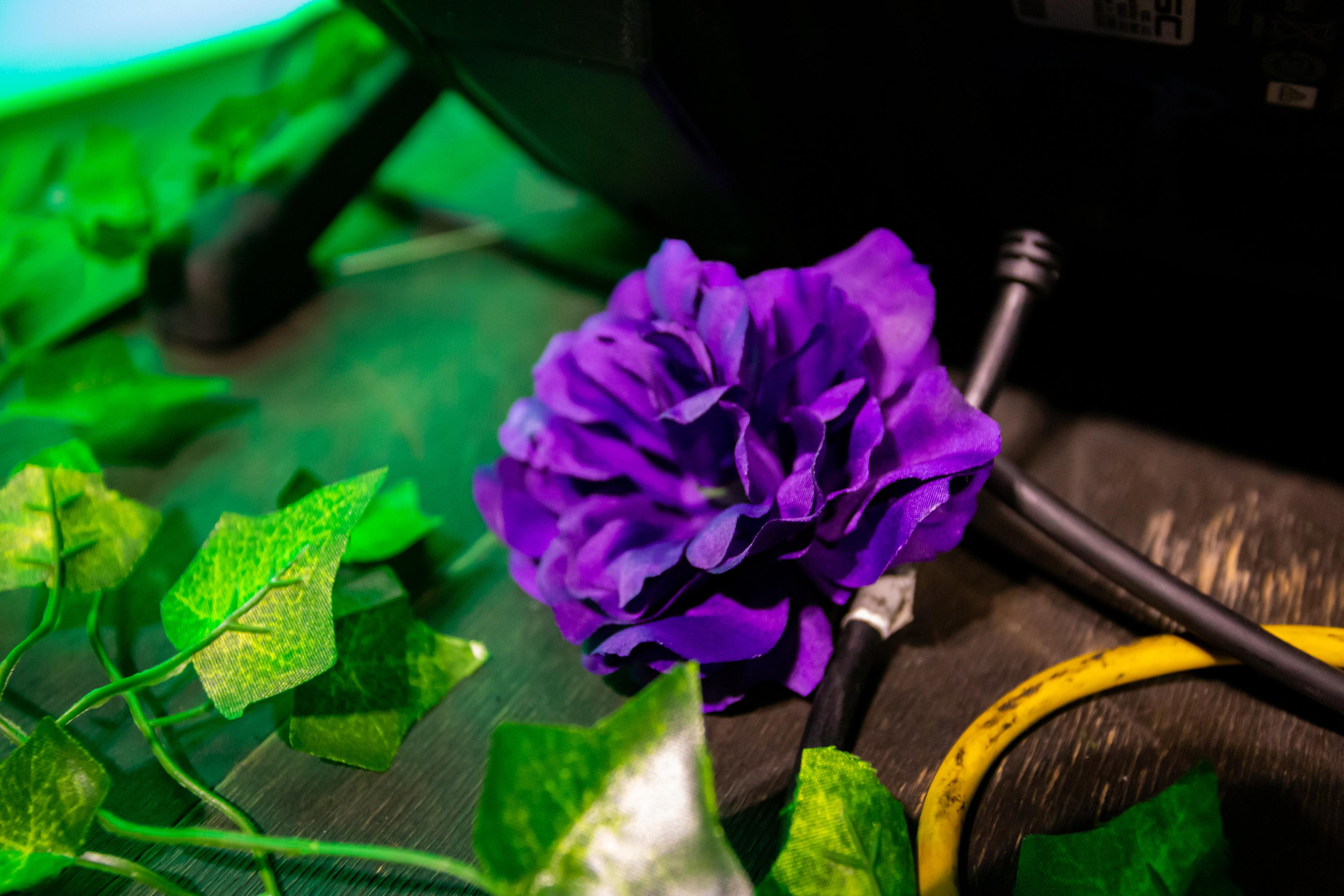 DIVIDED ISLAND. Photographer Sonkina Tatiana (Tanya Ash)