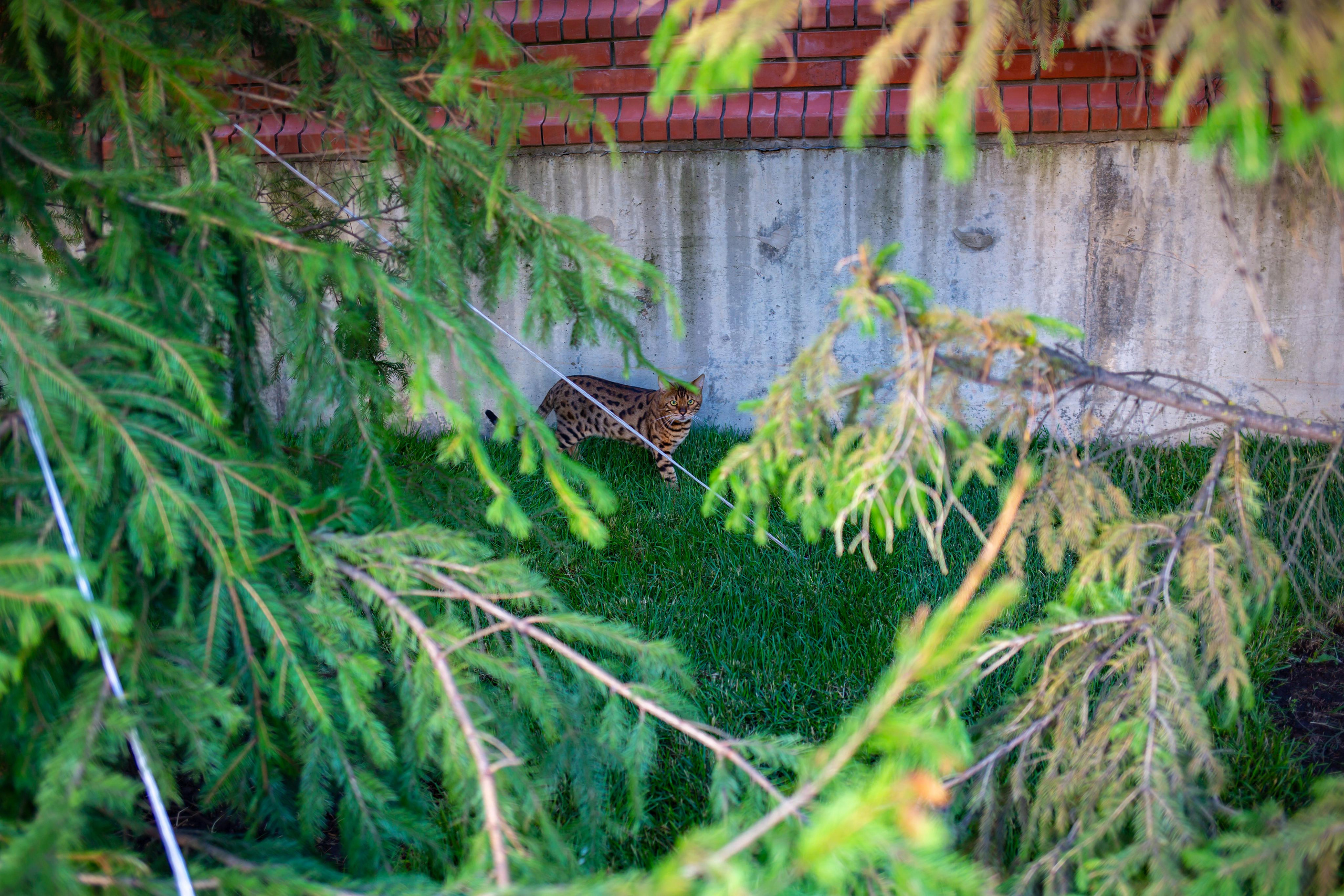 Казань. Photographer Sonkina Tatiana (Tanya Ash)