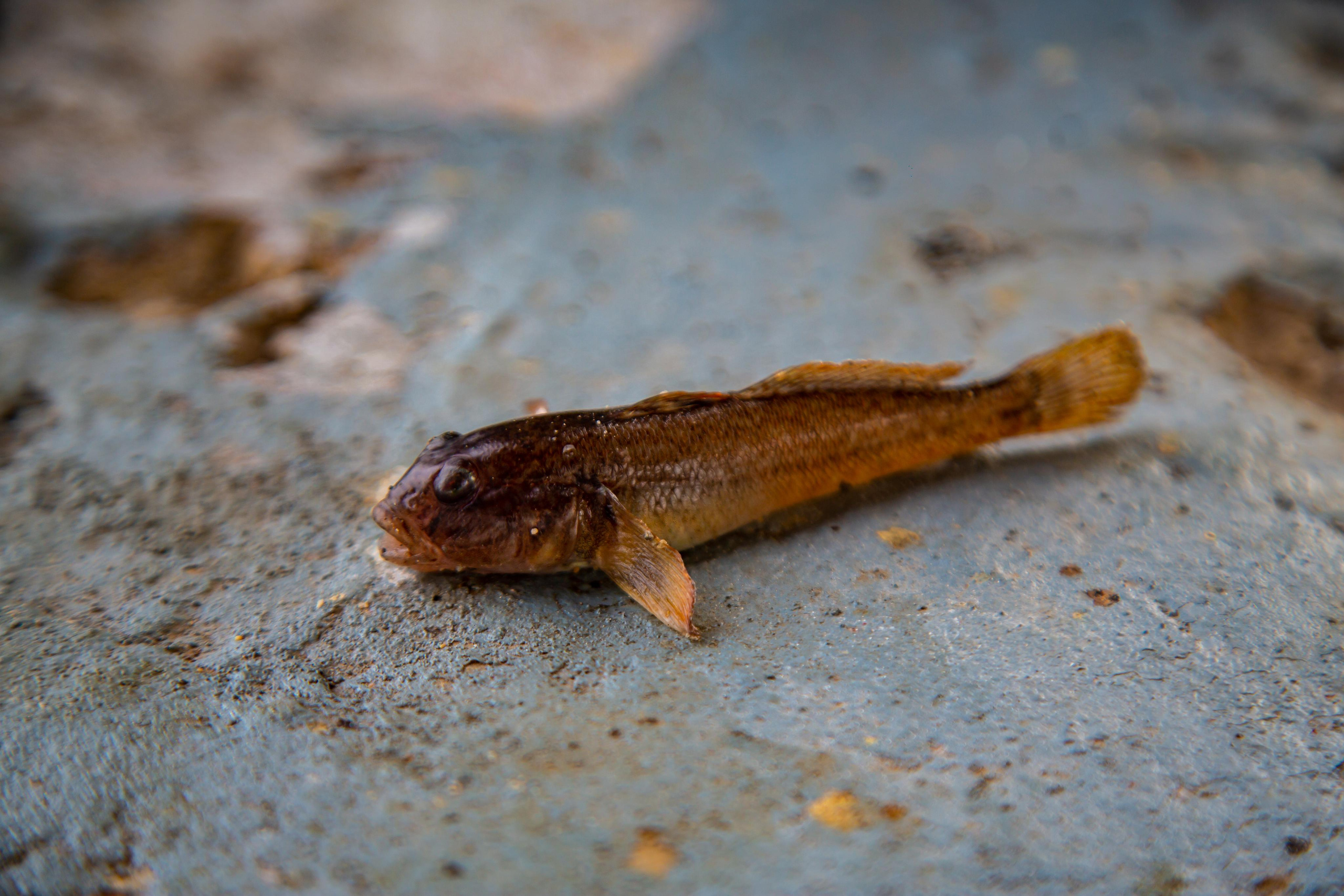 Волгоград. Photographer Sonkina Tatiana (Tanya Ash)