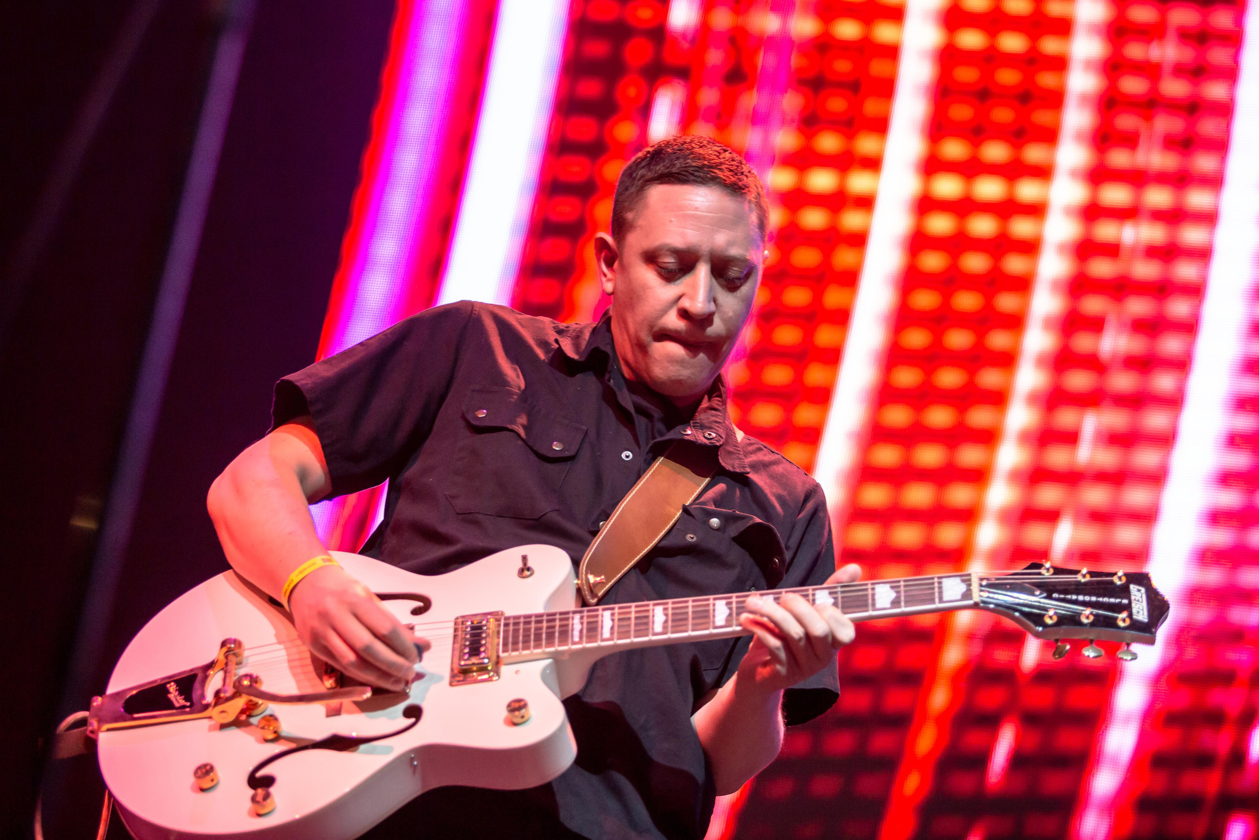 OLD SCHOOL CATS. Фотограф Сонкина Татьяна