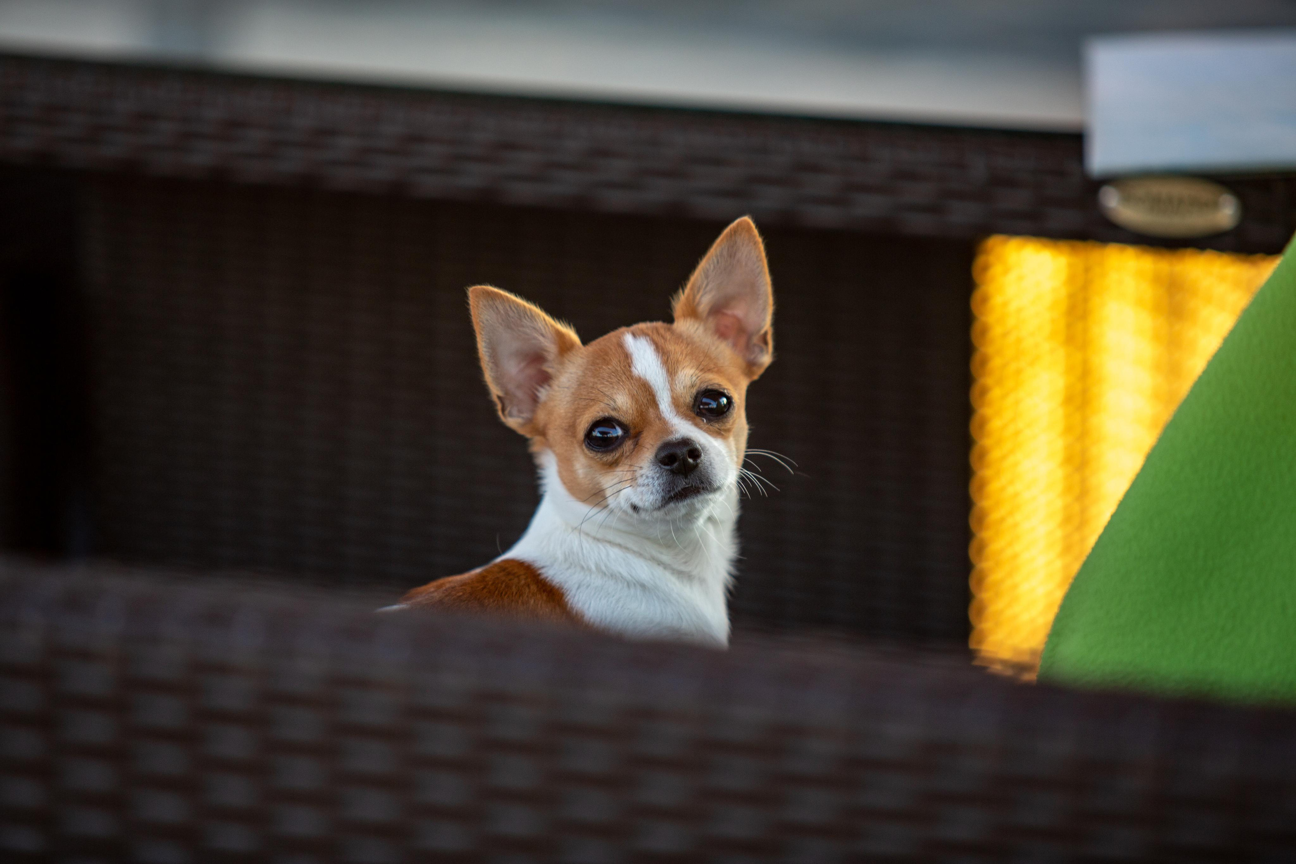 Казань. Photographer Sonkina Tatiana (Tanya Ash)