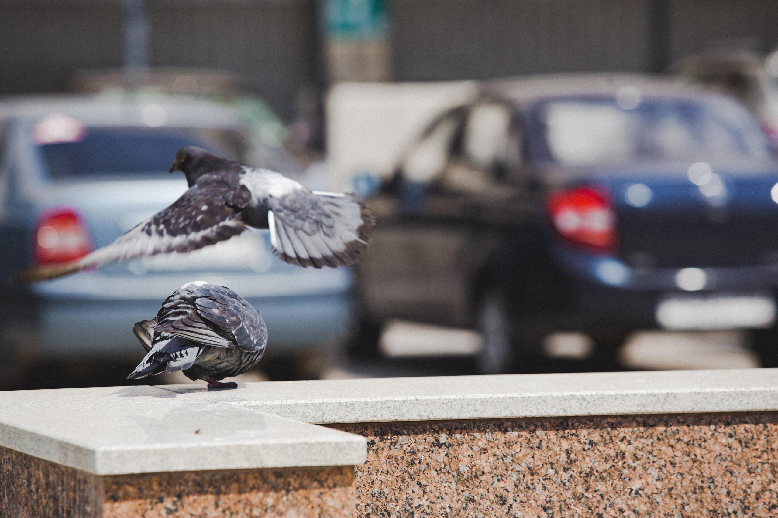 Казань. Photographer Sonkina Tatiana (Tanya Ash)