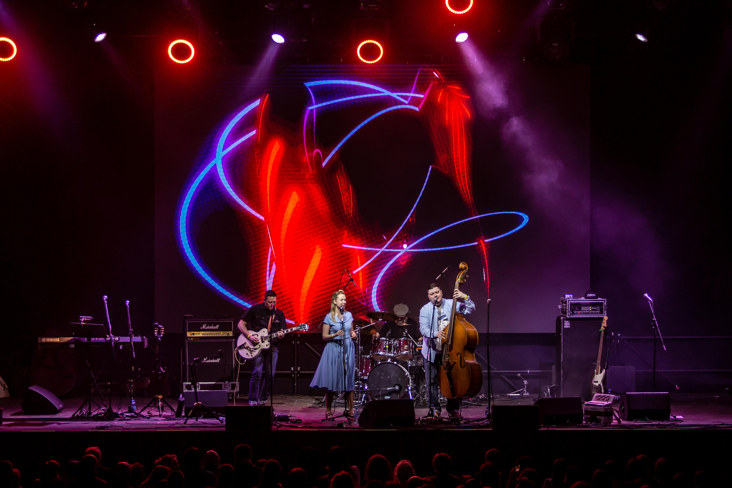 OLD SCHOOL CATS. Фотограф Сонкина Татьяна