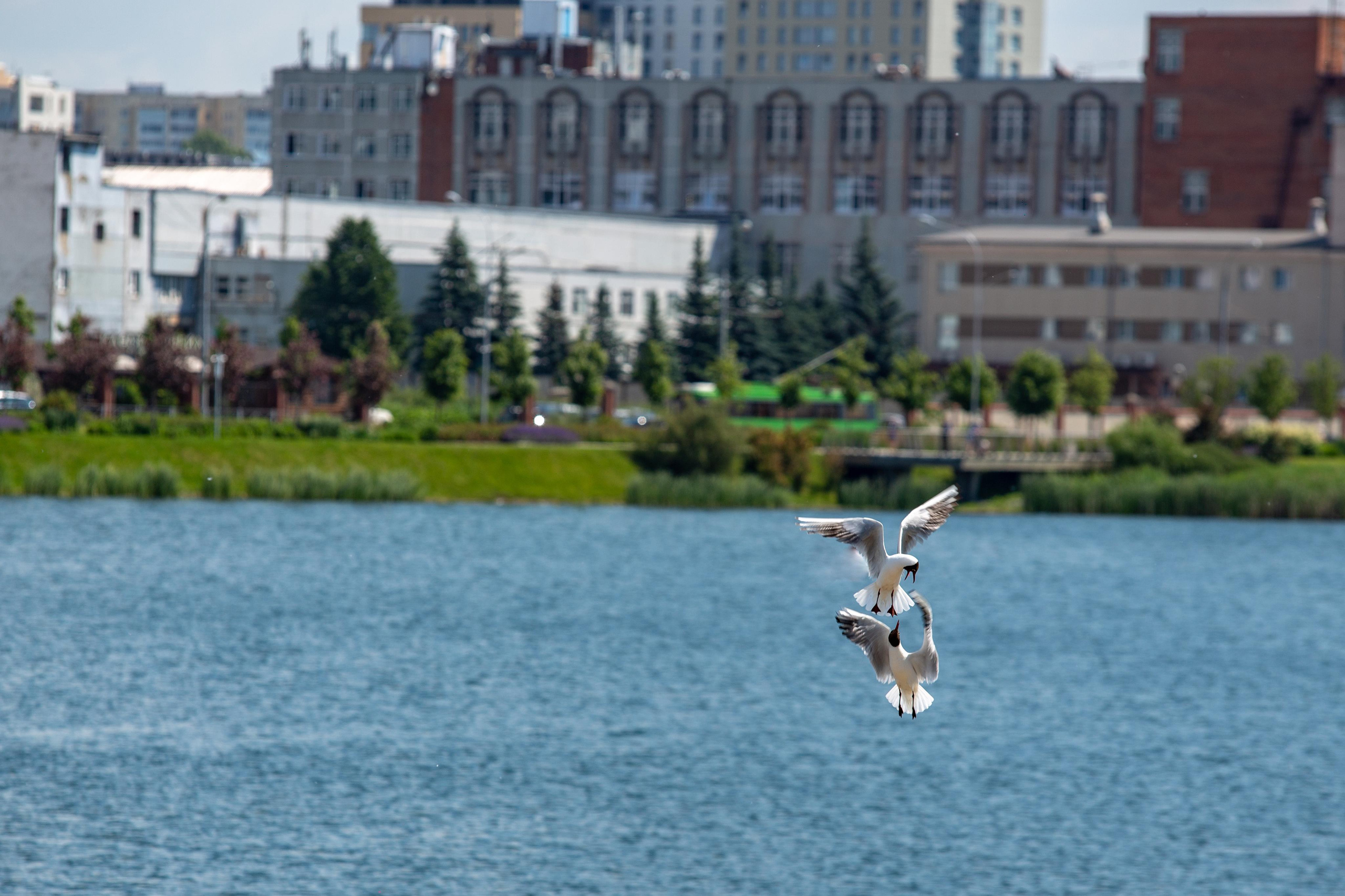 Казань. Photographer Sonkina Tatiana (Tanya Ash)