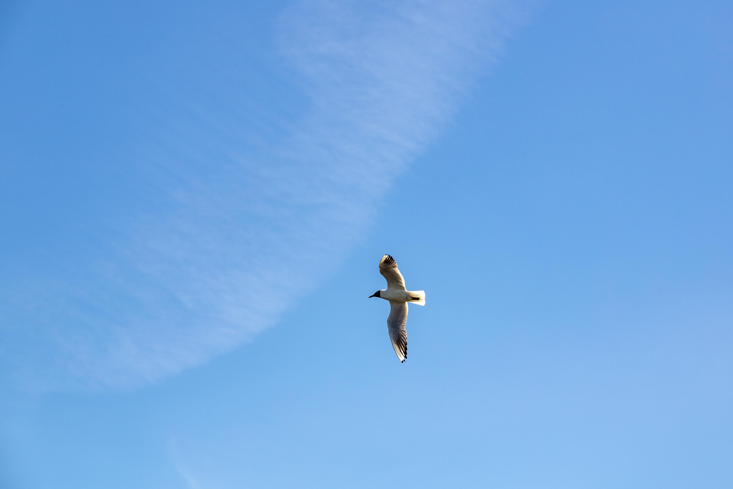 Казань. Photographer Sonkina Tatiana (Tanya Ash)