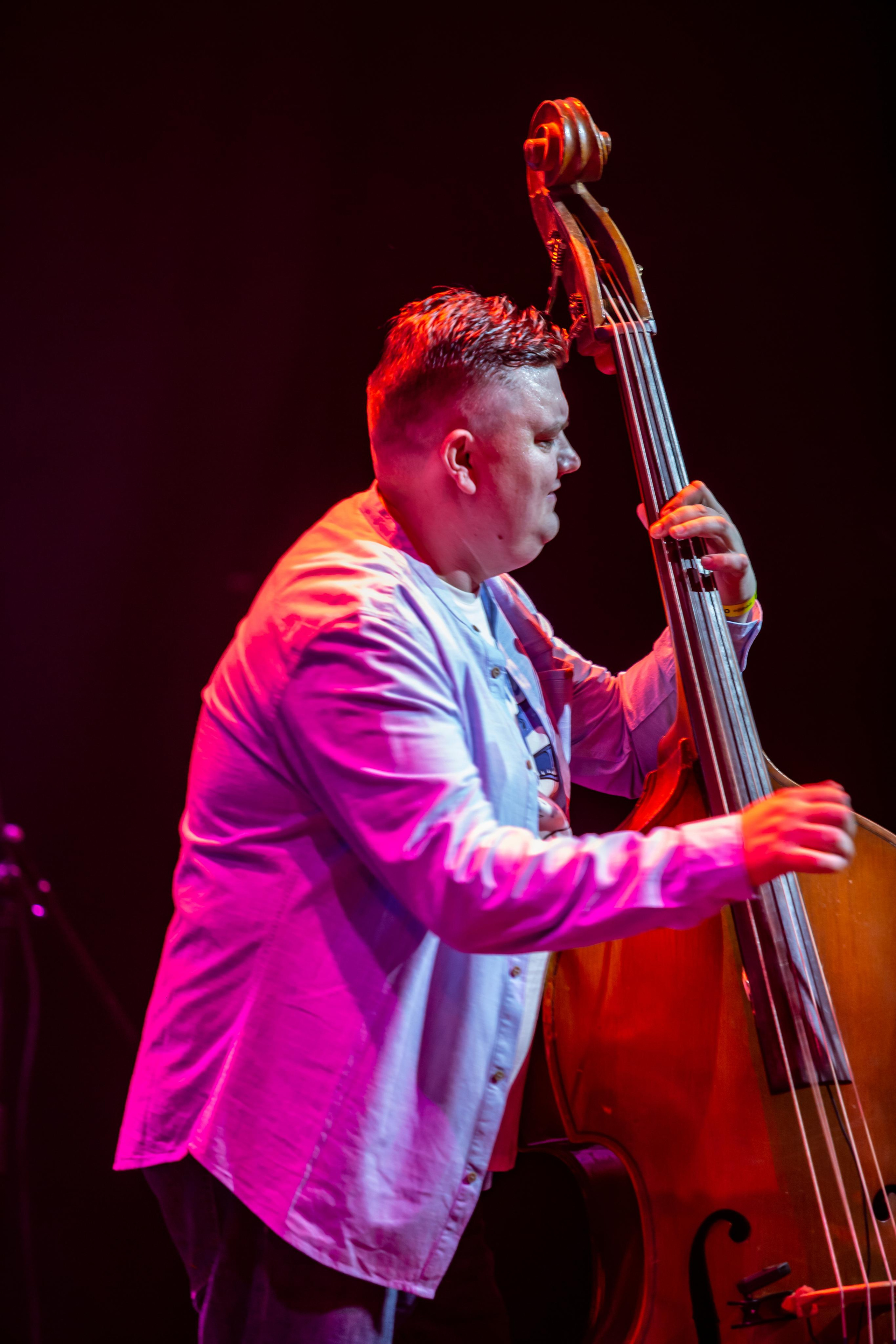 OLD SCHOOL CATS. Фотограф Сонкина Татьяна