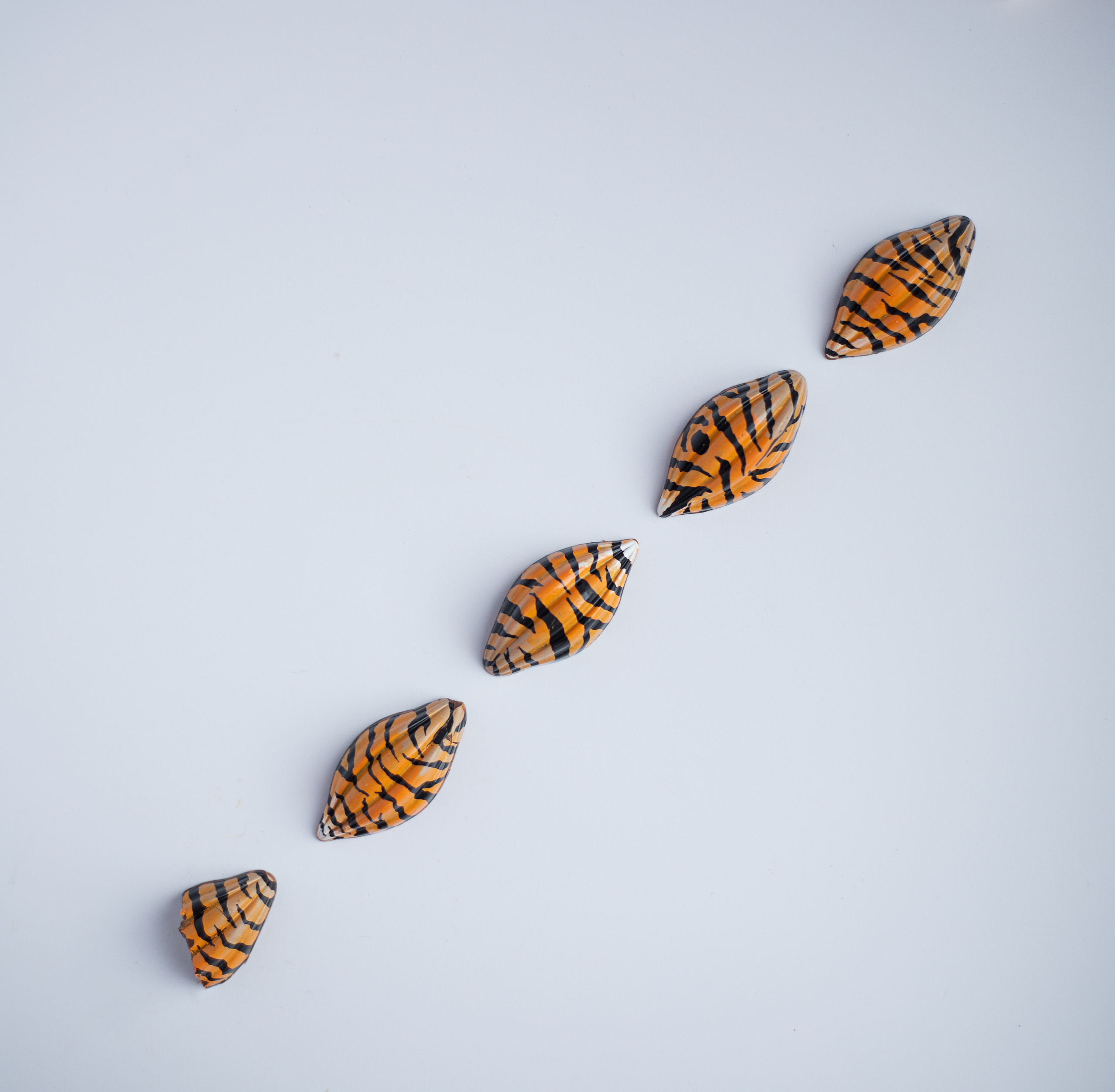 Контент для Анастасии. Фотограф Якимова Евгения