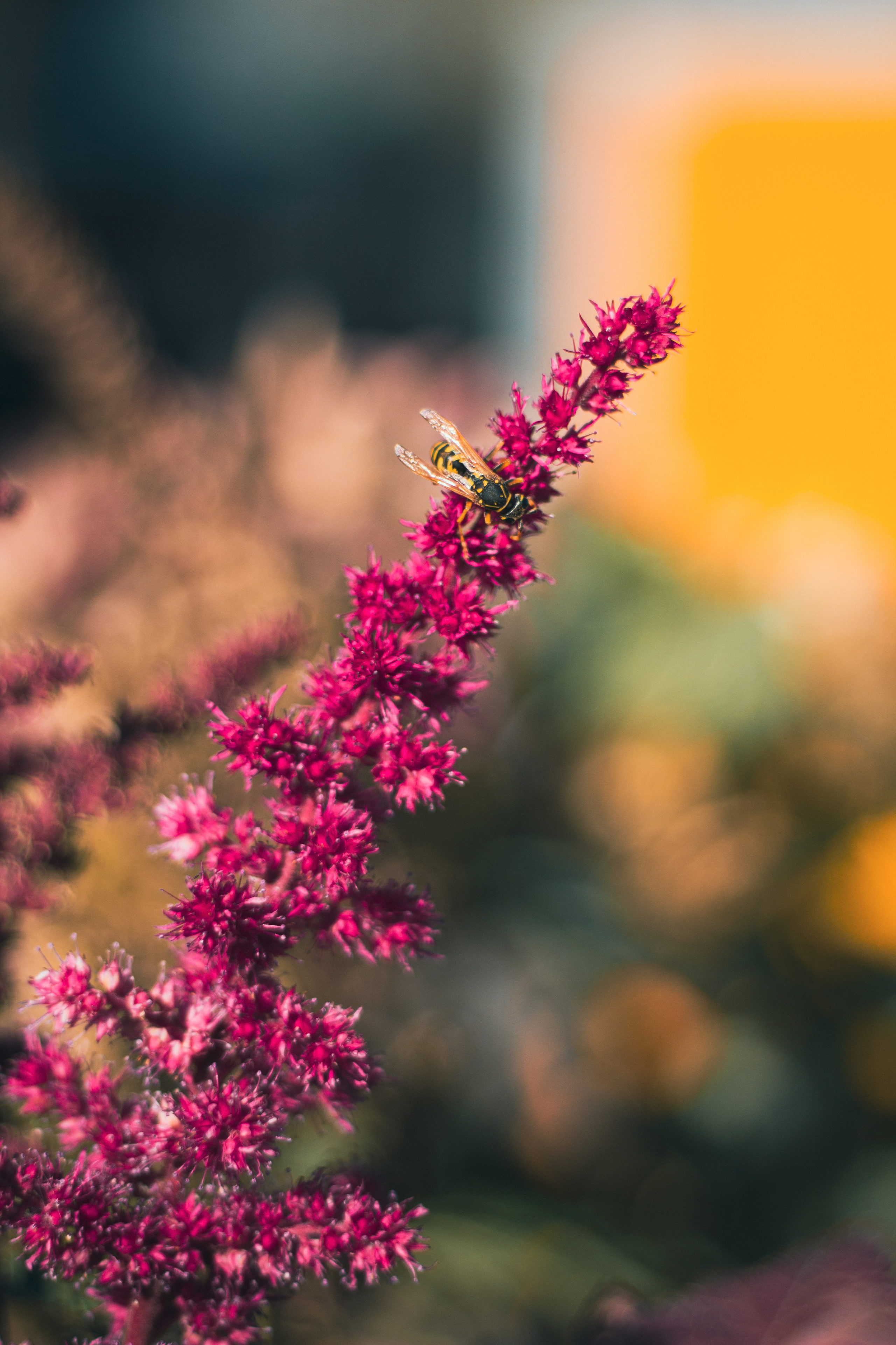 Парк у дома. Фотограф Москва, портрет, стрит, репортаж. Художественная фотосессия