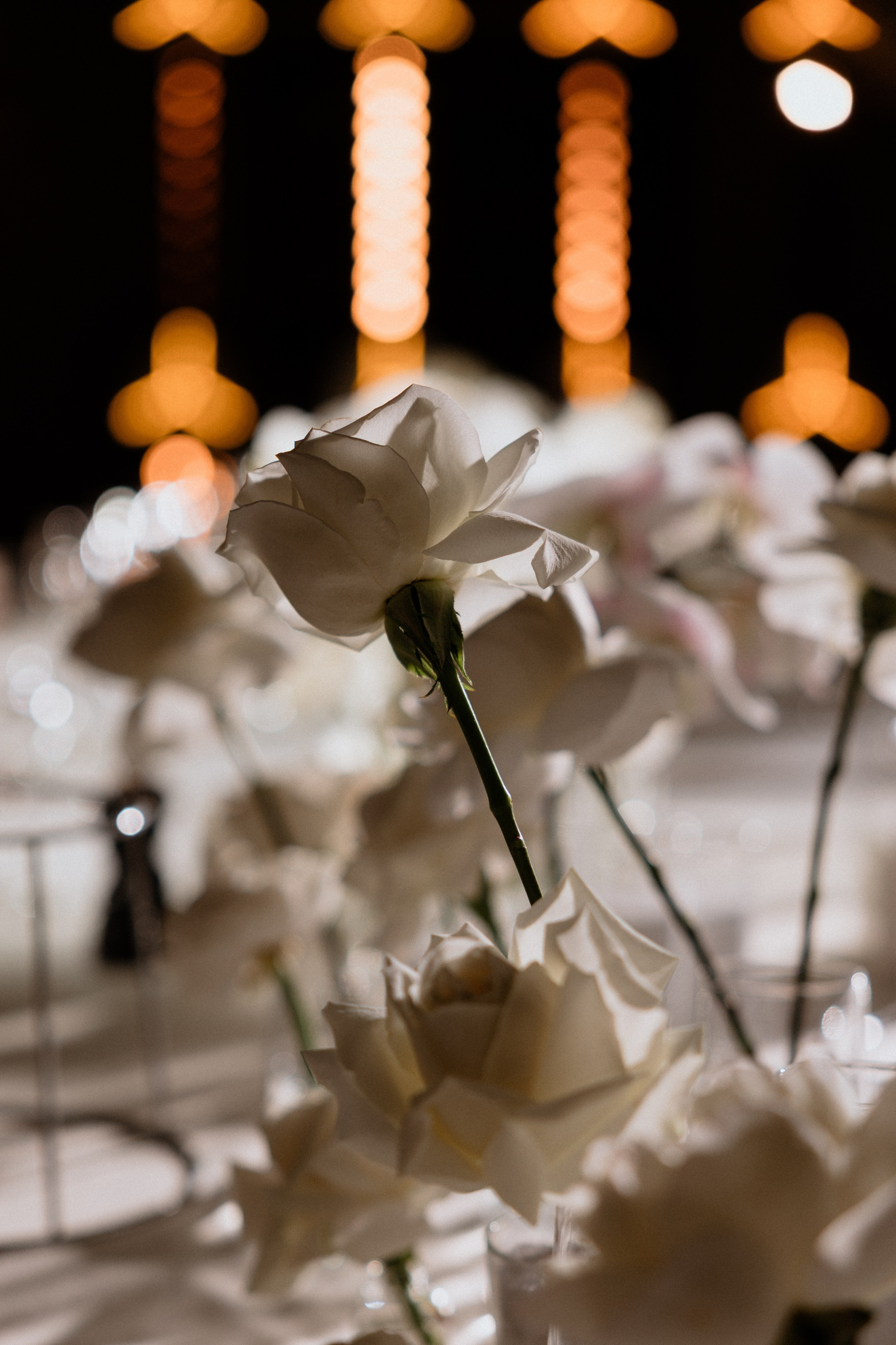 VEVY | 22.02.2026 | Москва, Ресторан «Батлер». МашаШарики | Декоратор | Москва