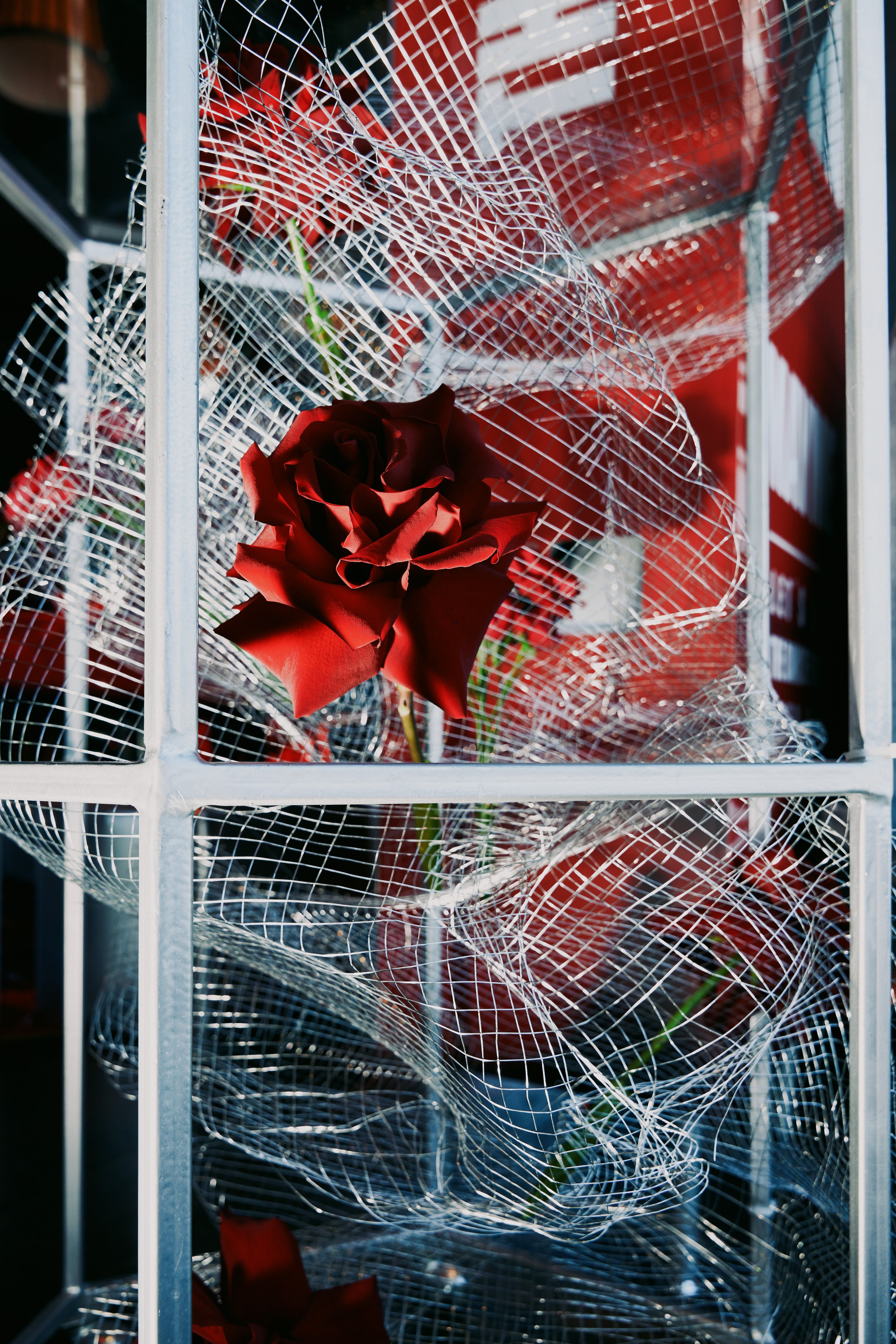 MAYME | март 26 | г. Москва, ресторан «JAMMA». МашаШарики | Декоратор | Москва