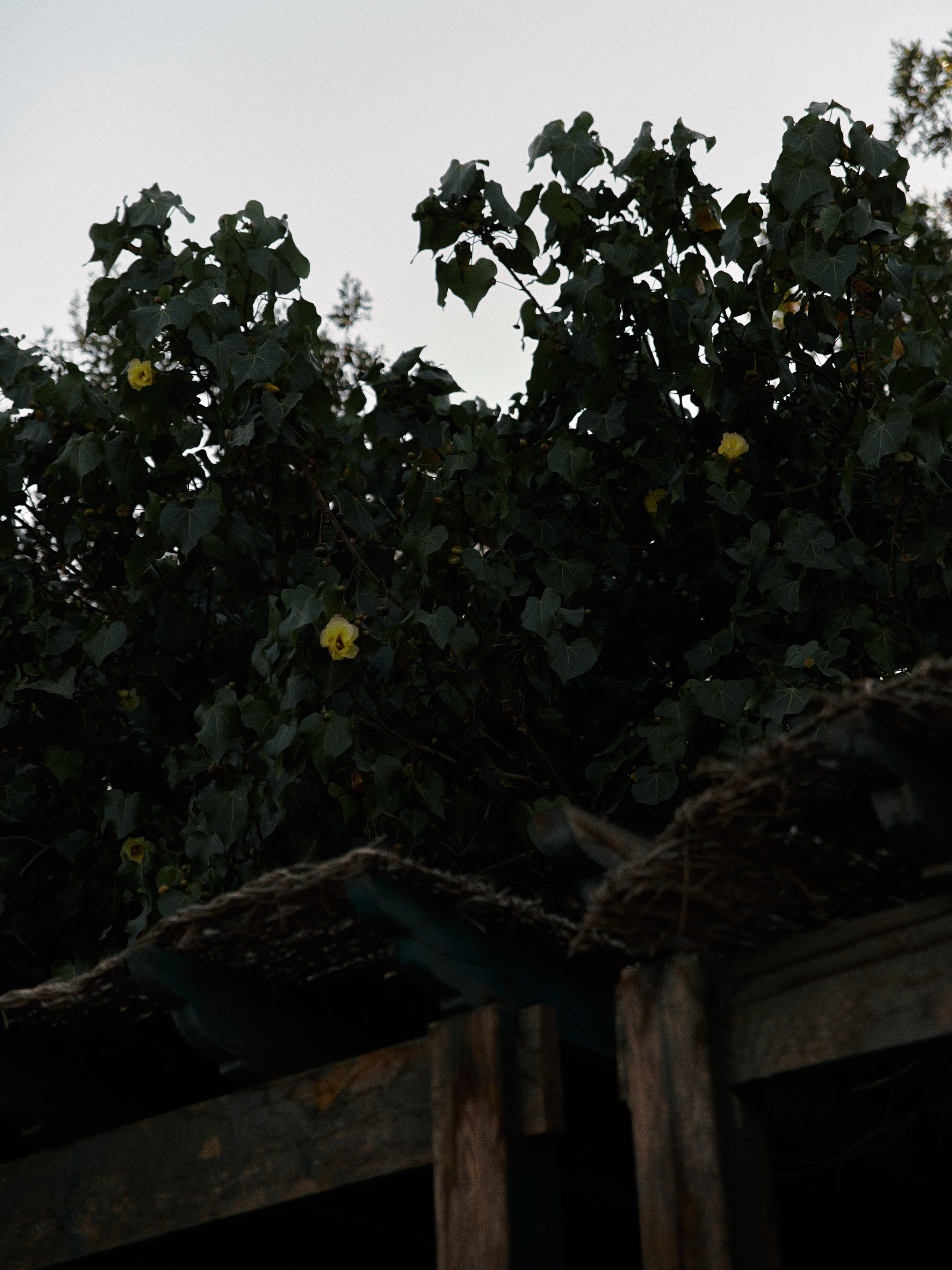 Диптих. Jorgis — фотограф в Хургаде / обучение фотографии