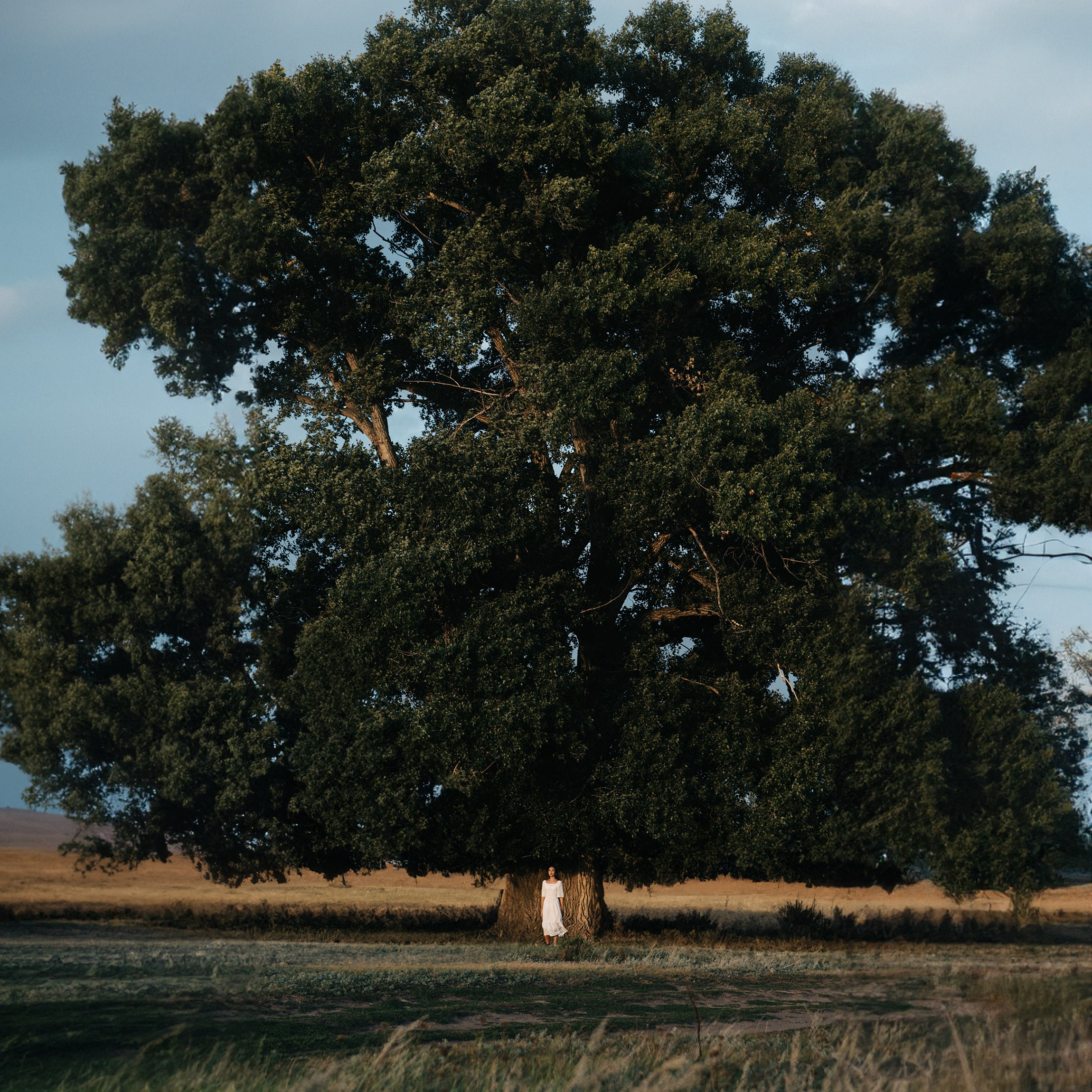 Amira. Портретный и репортажной фотограф Алексей Волков. Москва, Оренбург