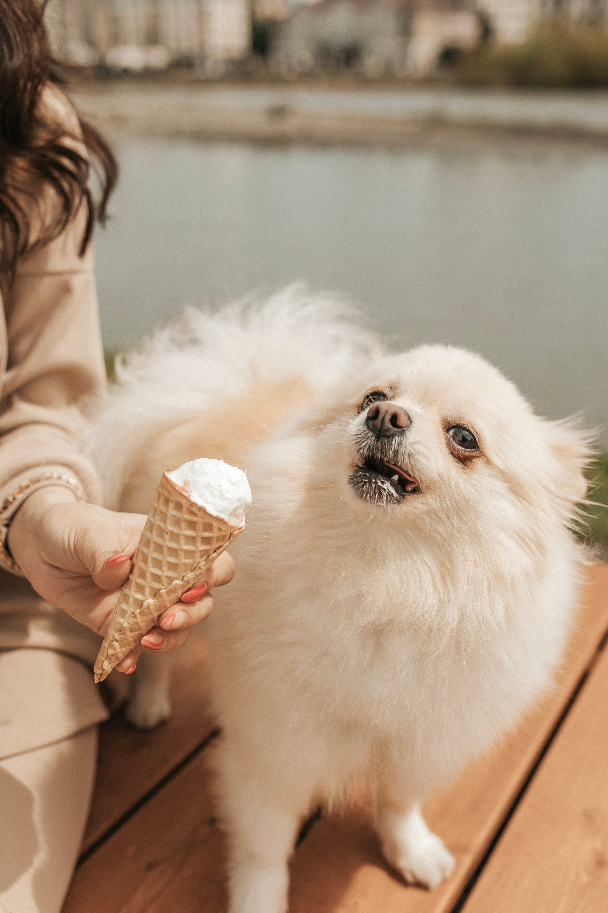 Портфолио//INDIVIDUAL(STREET). Фотограф Тюмень Пушковская Кристина