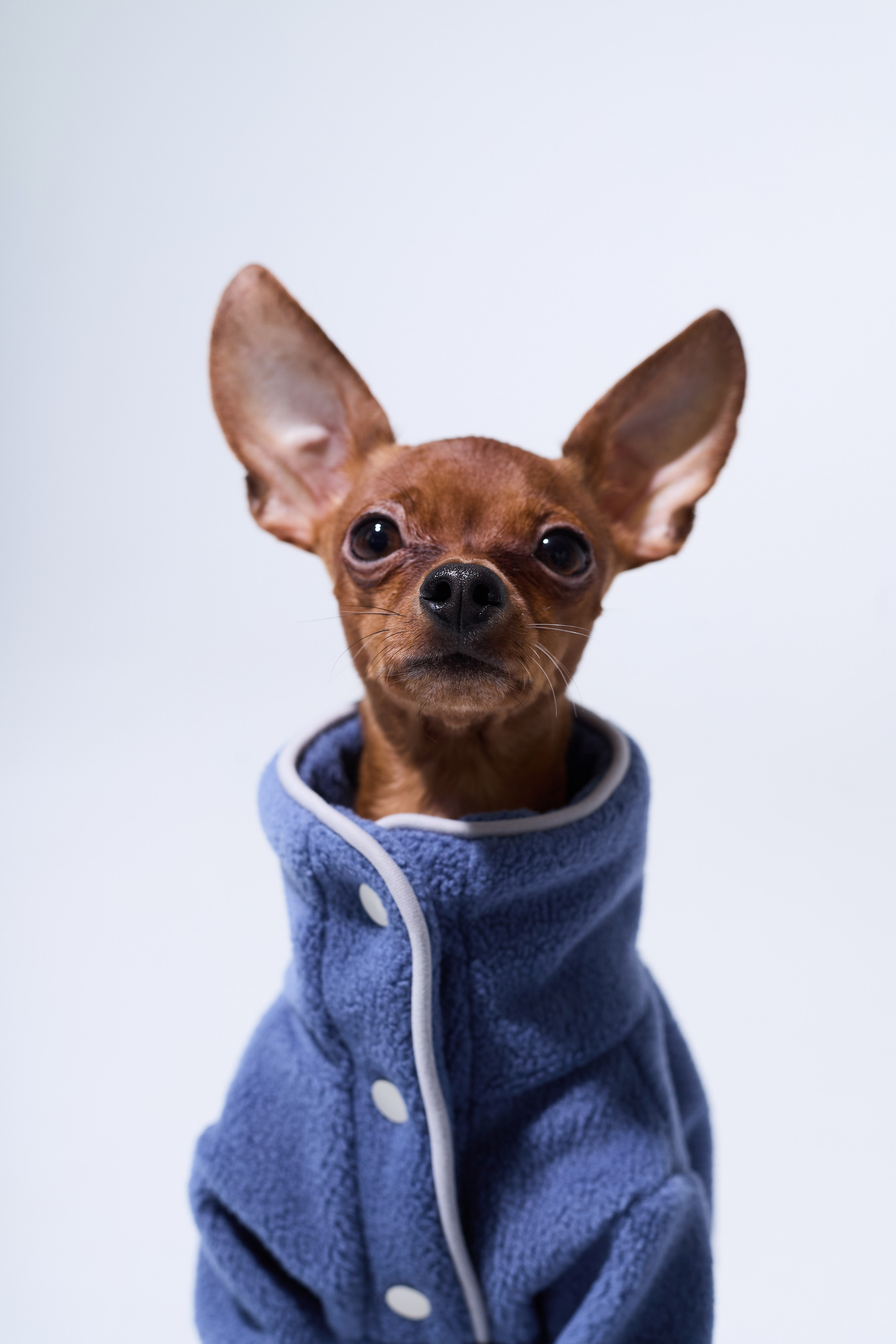 Big Lap Club. Фотограф|Москва-СПб| Анастасия Рябинина