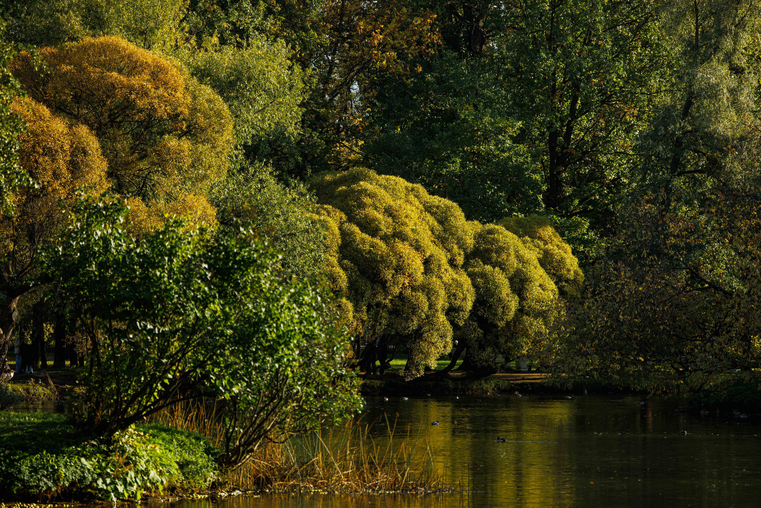 Парк Екатерингоф. Фотограф Балаев Михаил