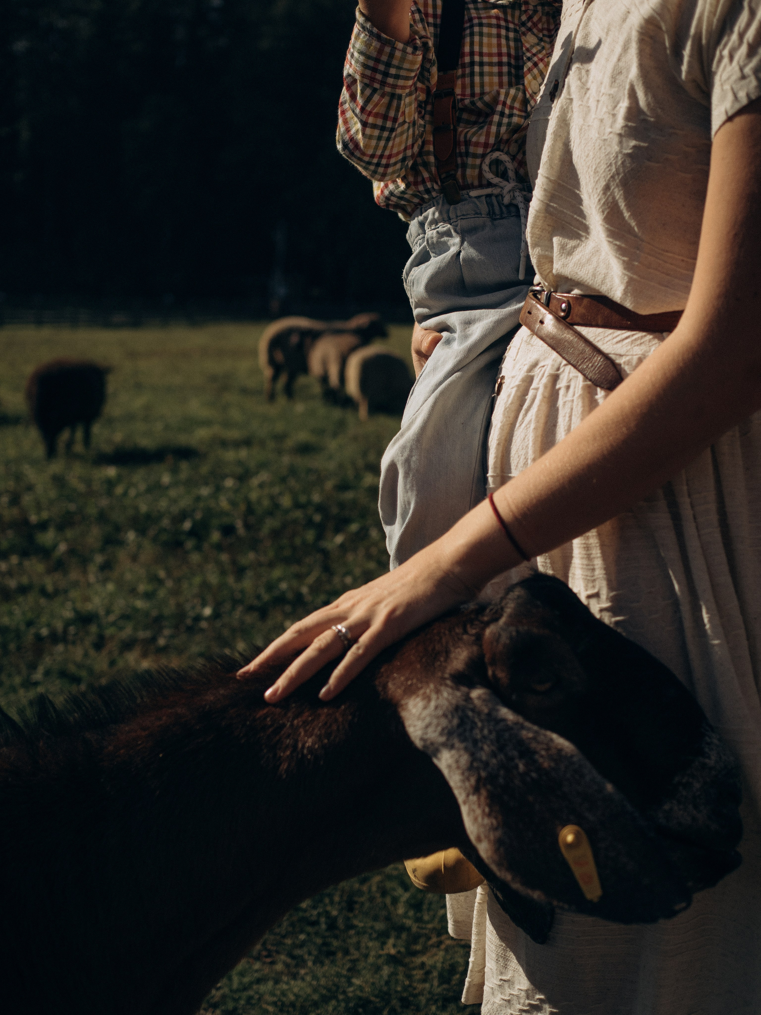 Fam2. Фотограф в Сортавала Карина Буглакова