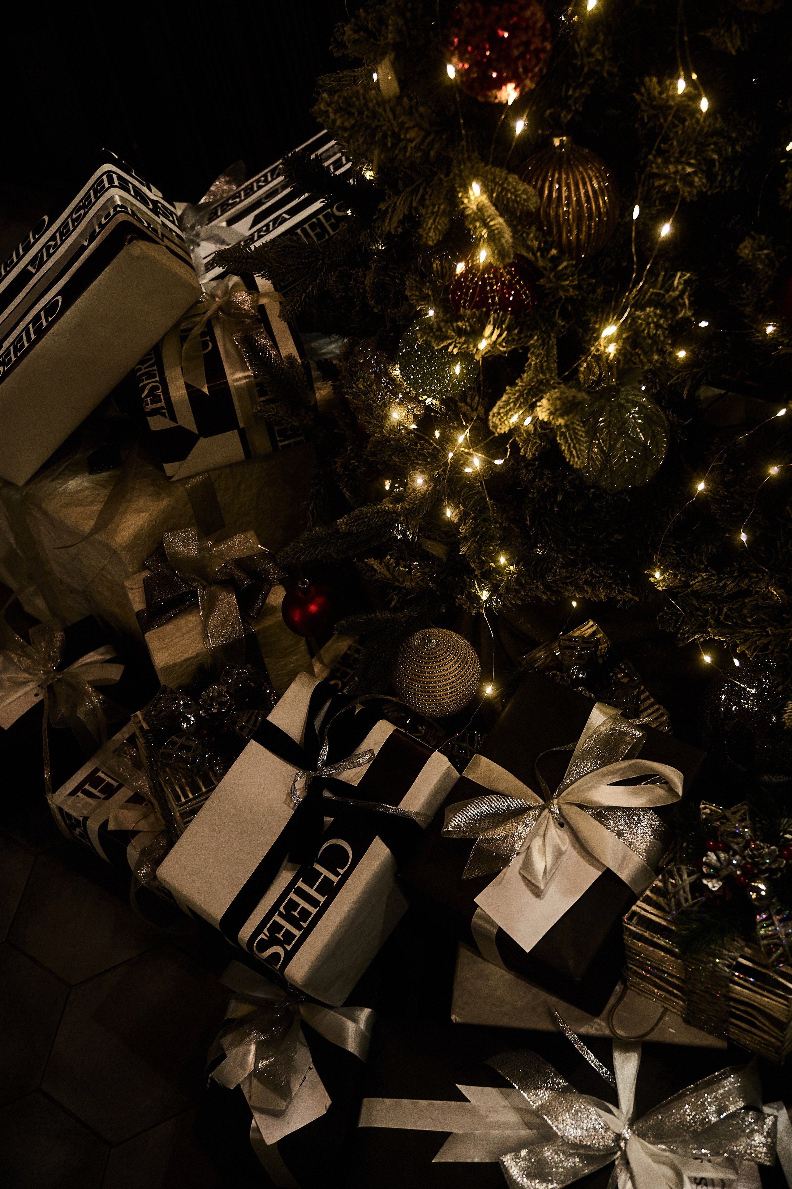 Ак Барс. Фотограф Казань