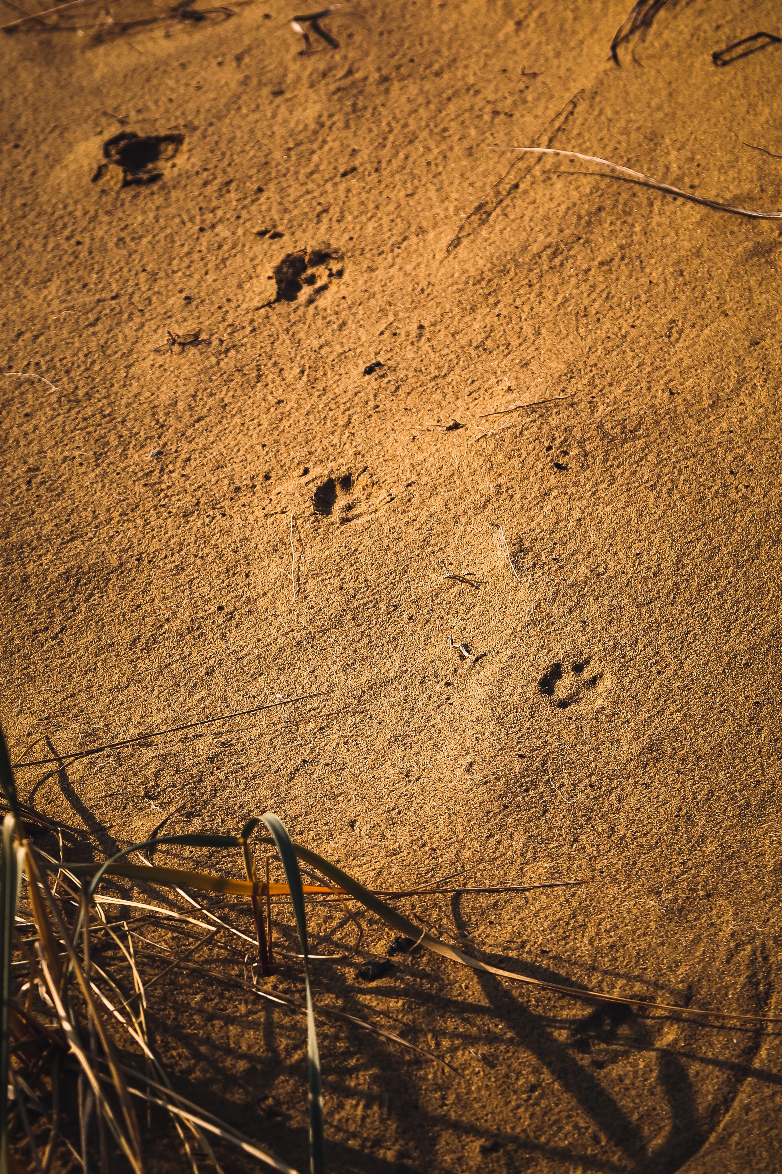 Кавказ: многоликий Дагестан. Дарья Письменюк / Darya Leitstern — фотограф, музыкант, журналист, путешественник