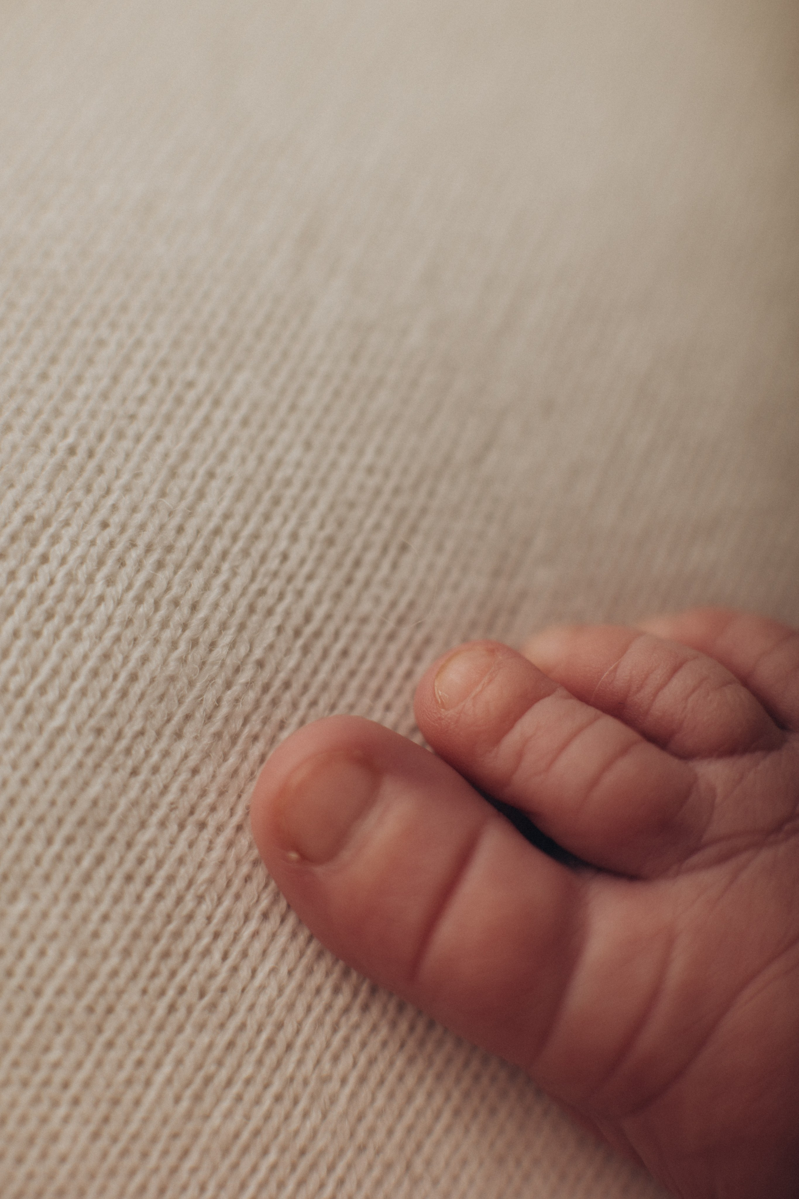 Фотограф новорожденных Тверь. Newborn Фотограф в Твери